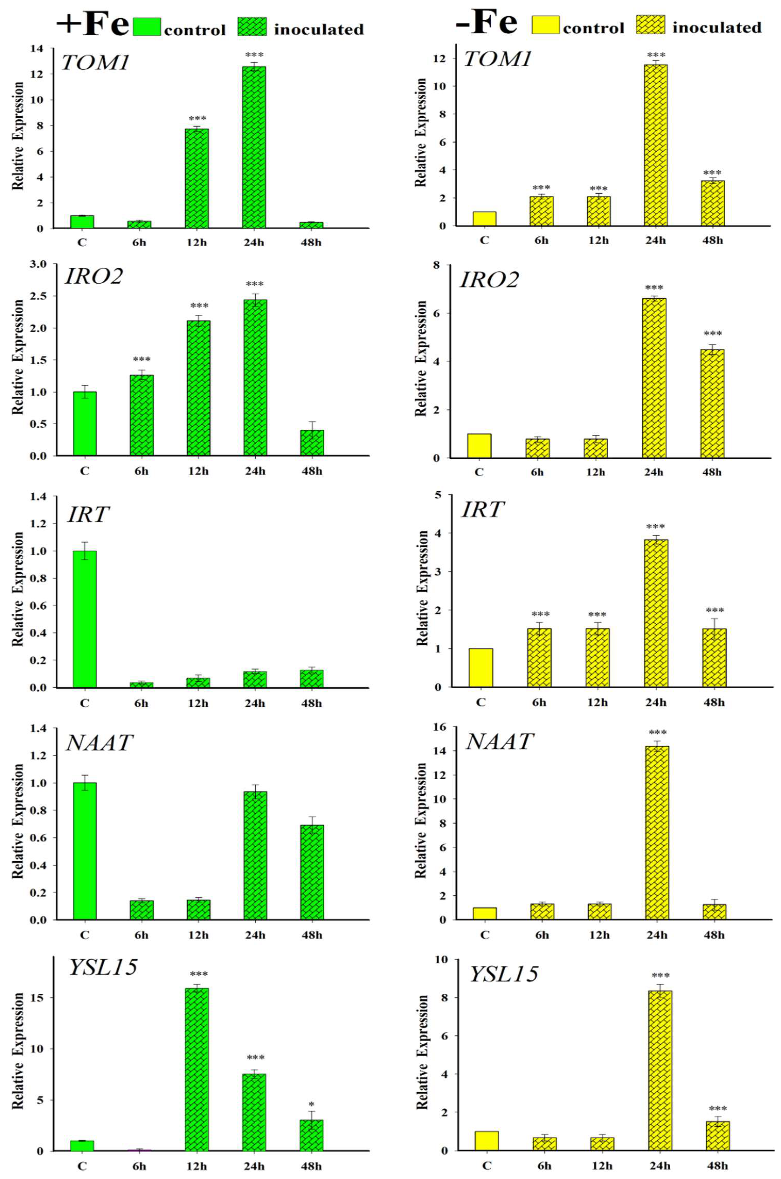 Plants 12 03145 g004