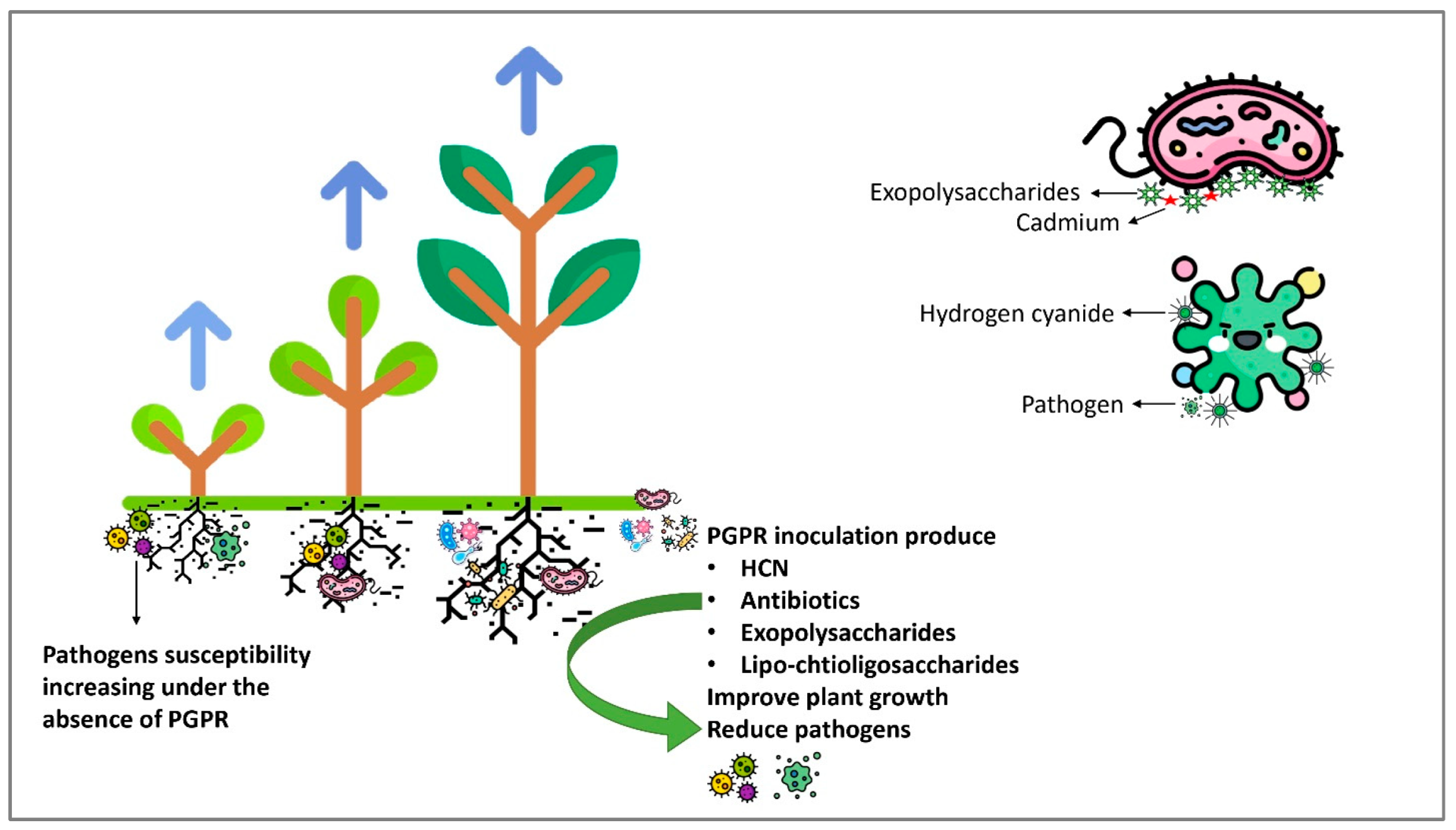 Plants | Free Full-Text | Recent Advances in Microbial-Assisted Plants | Free Full-Text | Recent Advances in Microbial-Assisted