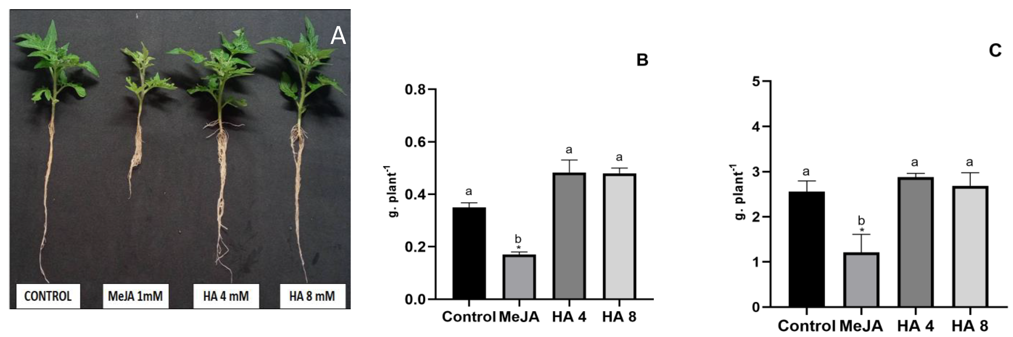 Plants 12 03148 g002