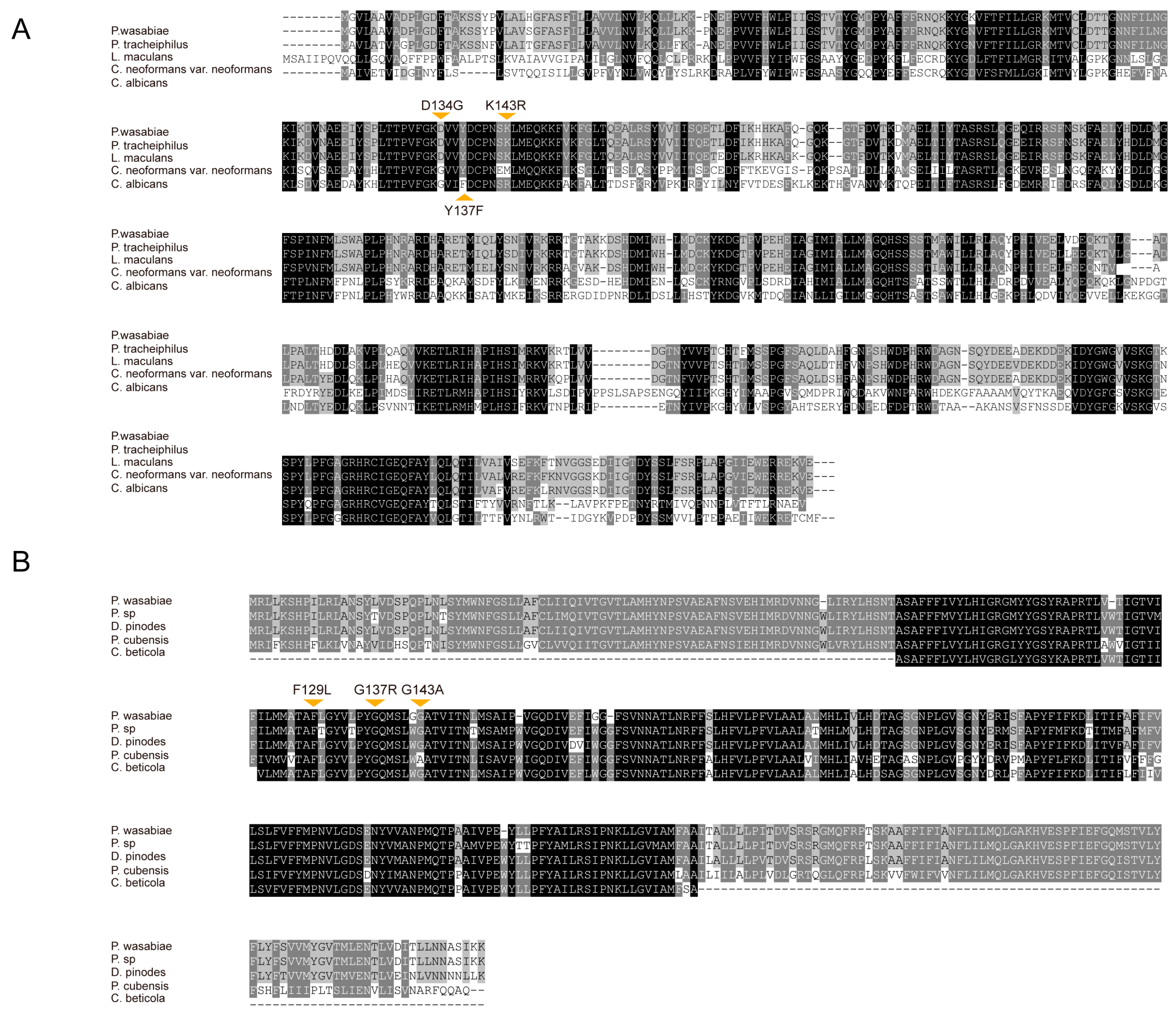 Plants 12 03149 g004