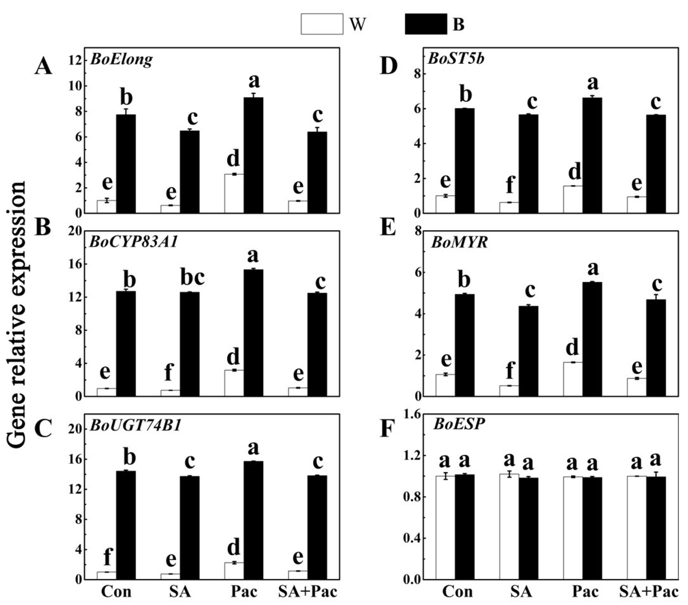 Plants 12 03151 g008 Plants 12 03151 g008