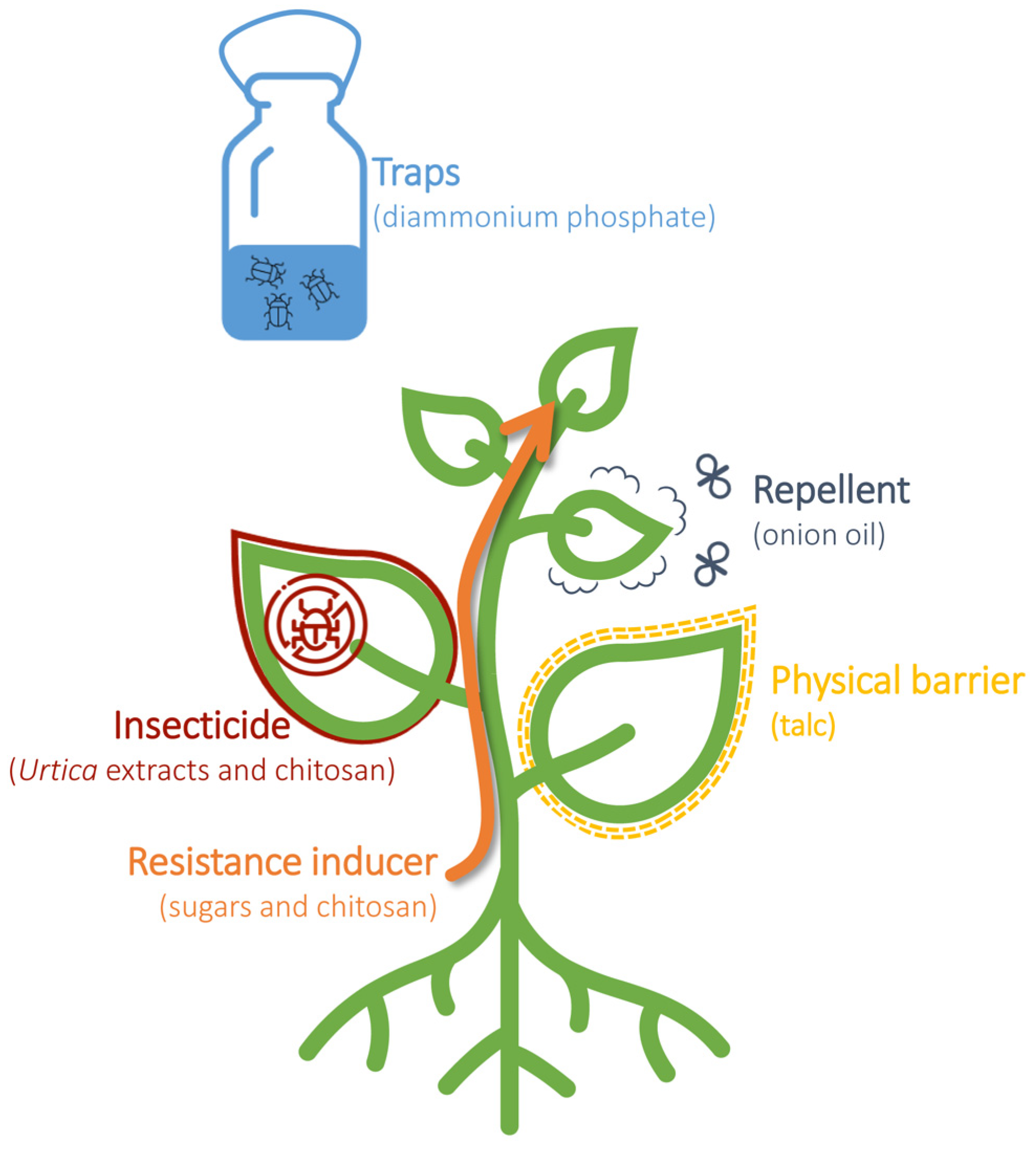 Plants 12 03152 g002 Plants 12 03152 g002
