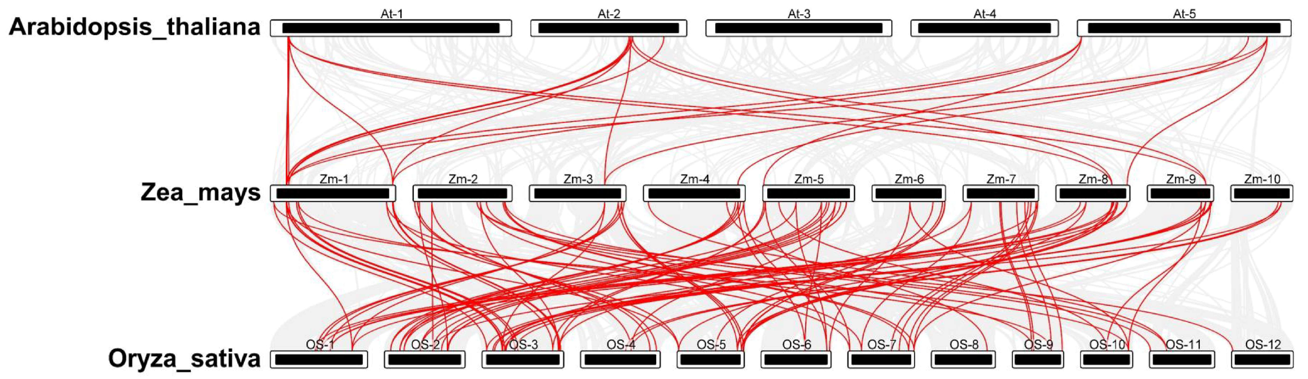 Plants 12 03153 g002