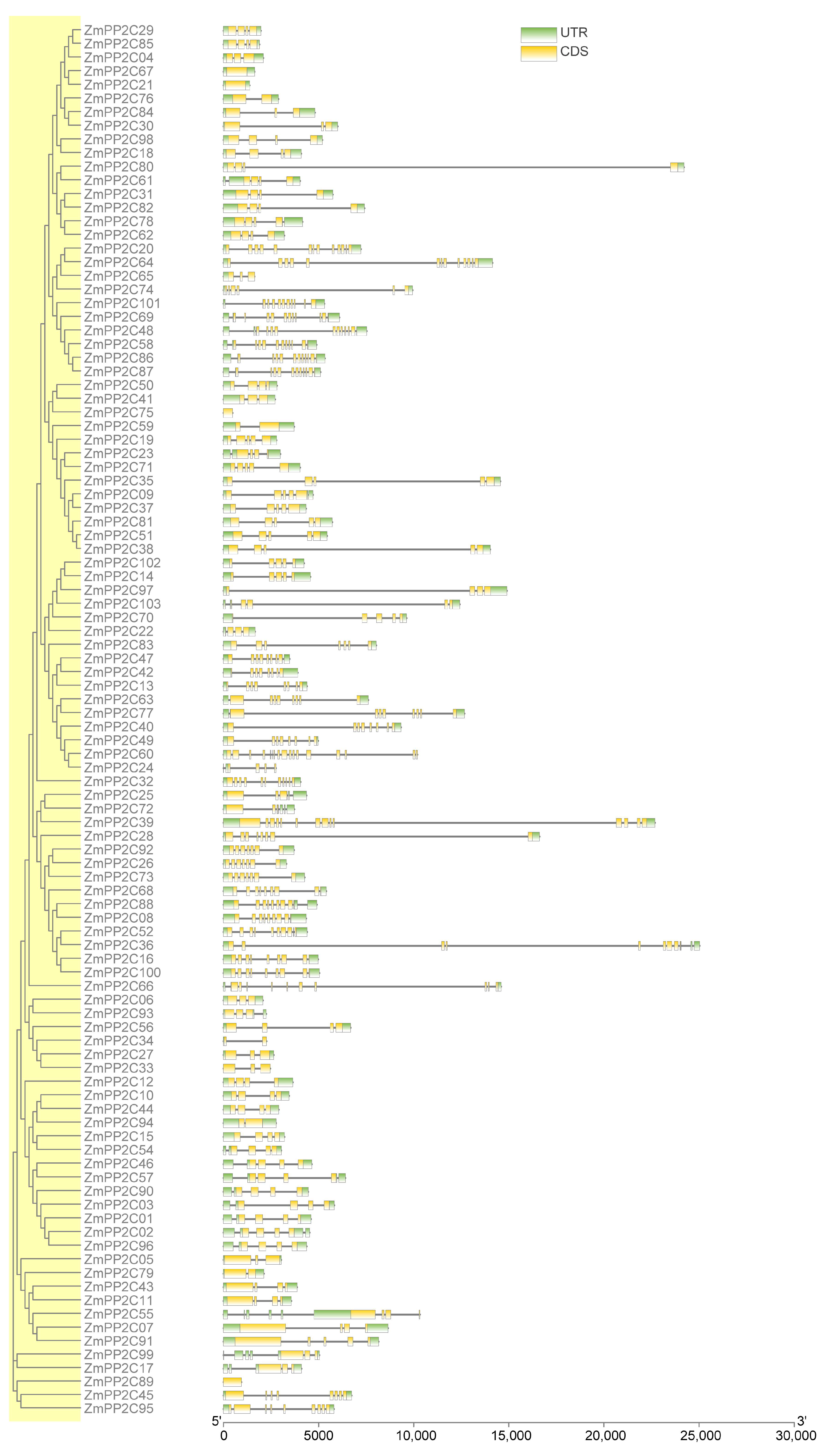 Plants 12 03153 g003