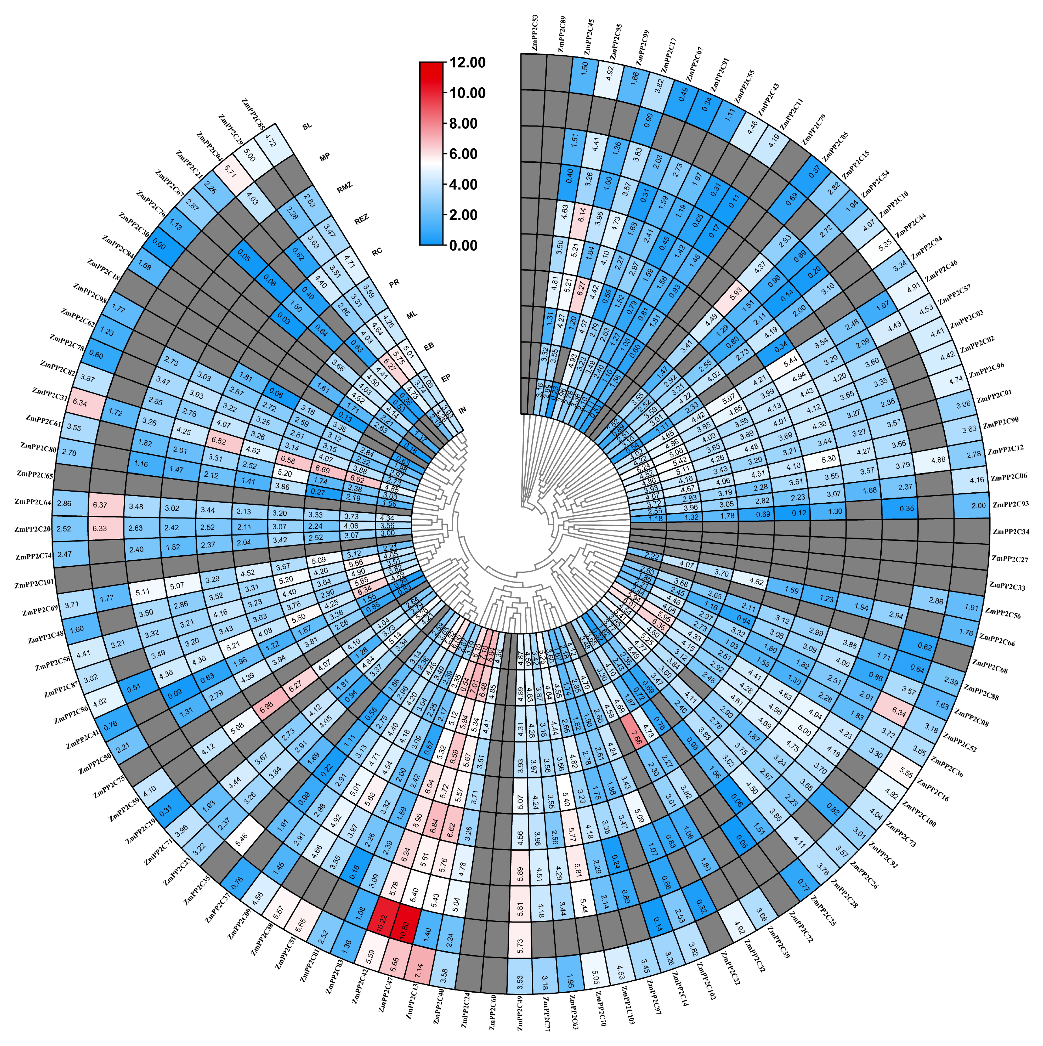 Plants 12 03153 g006