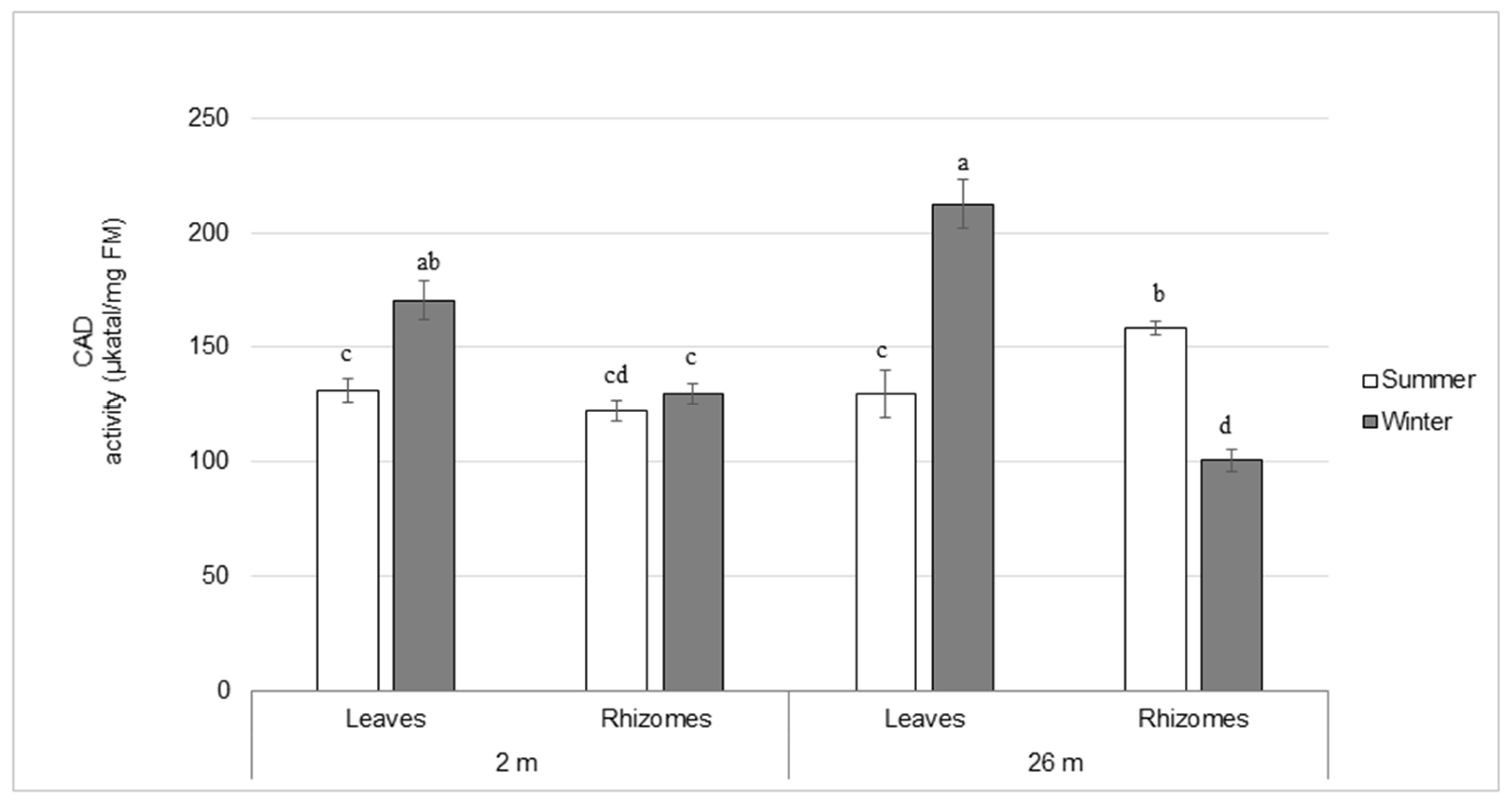 Plants 12 03155 g003