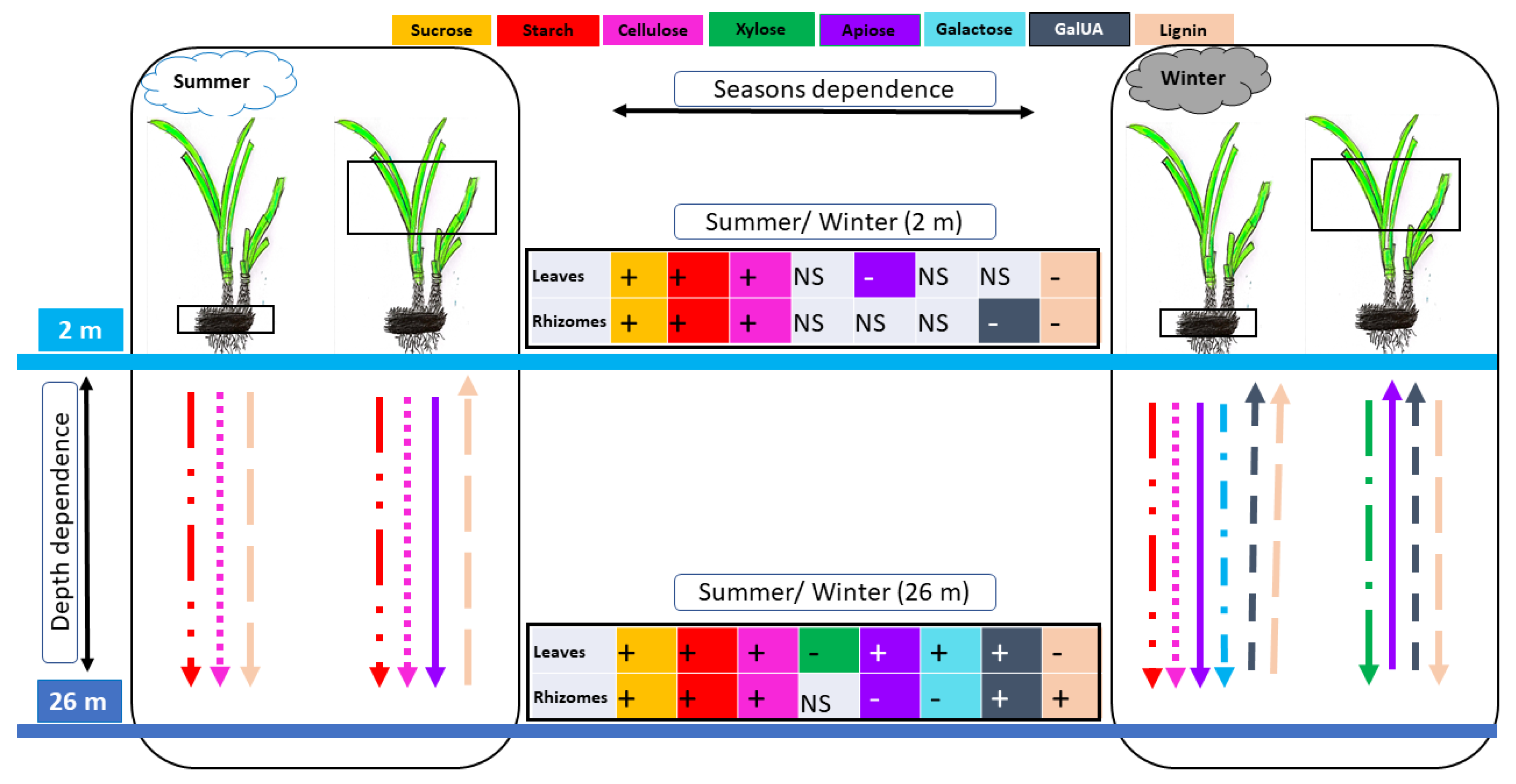 Plants 12 03155 g004
