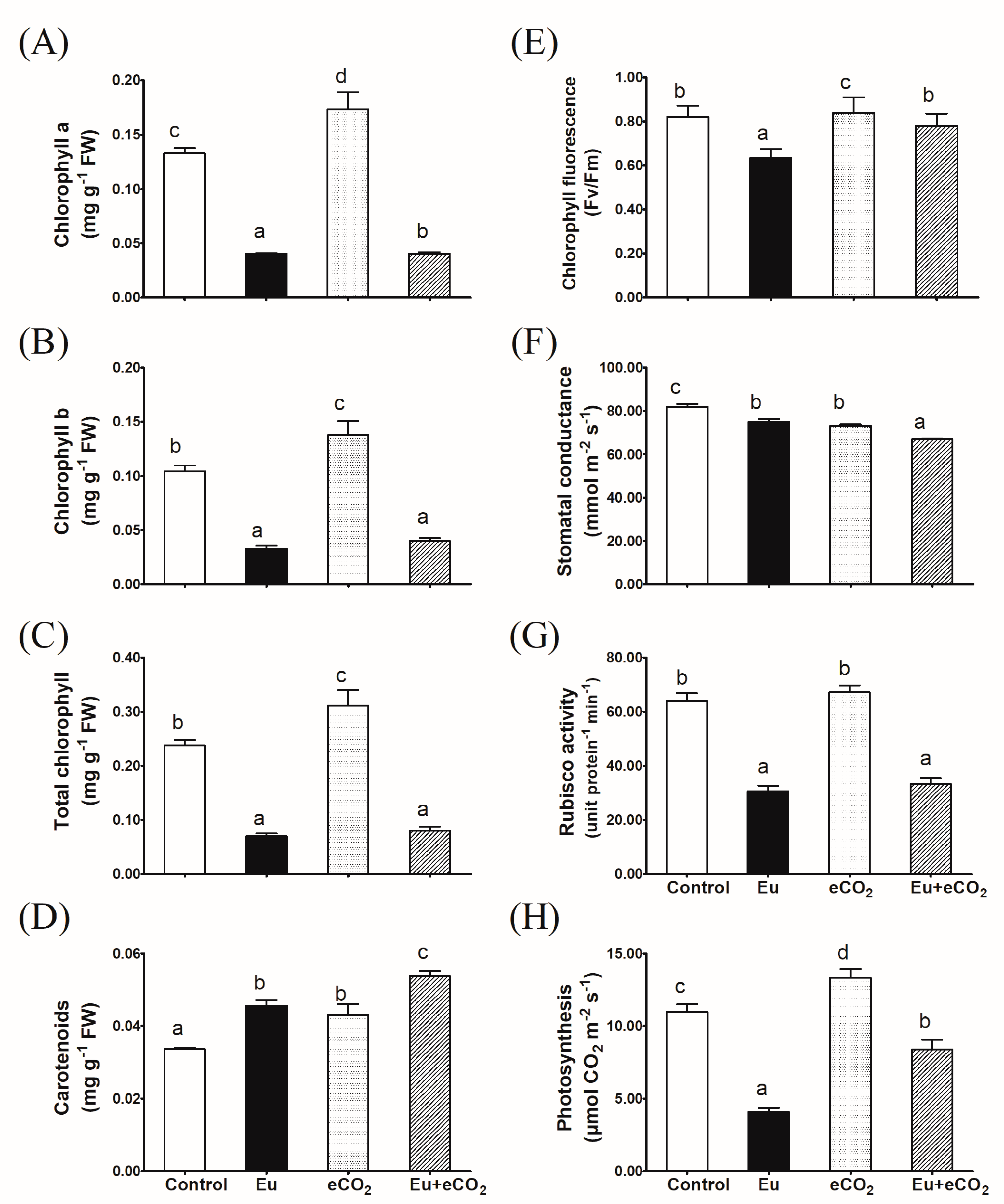 Plants 12 03159 g002