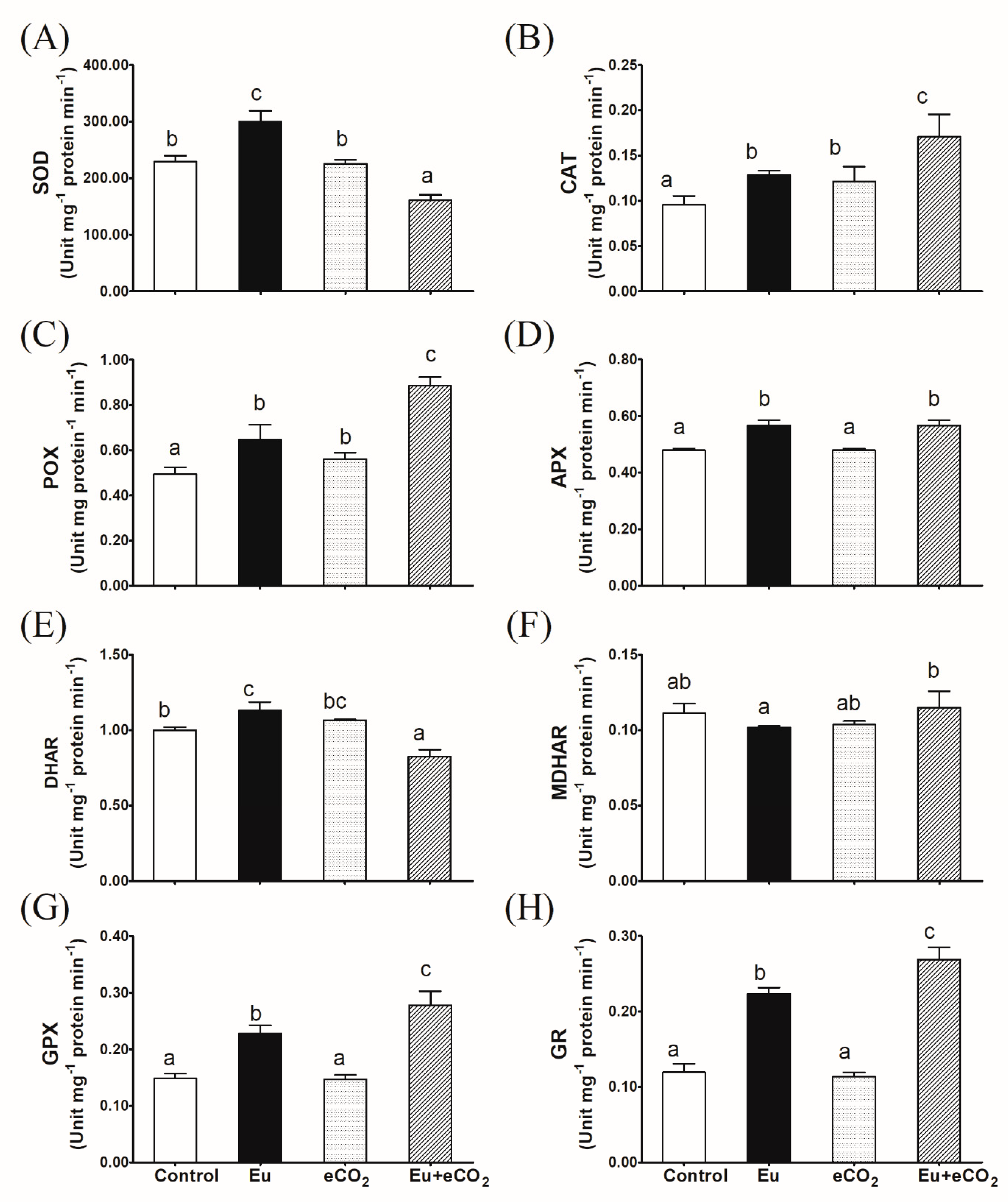 Plants 12 03159 g003