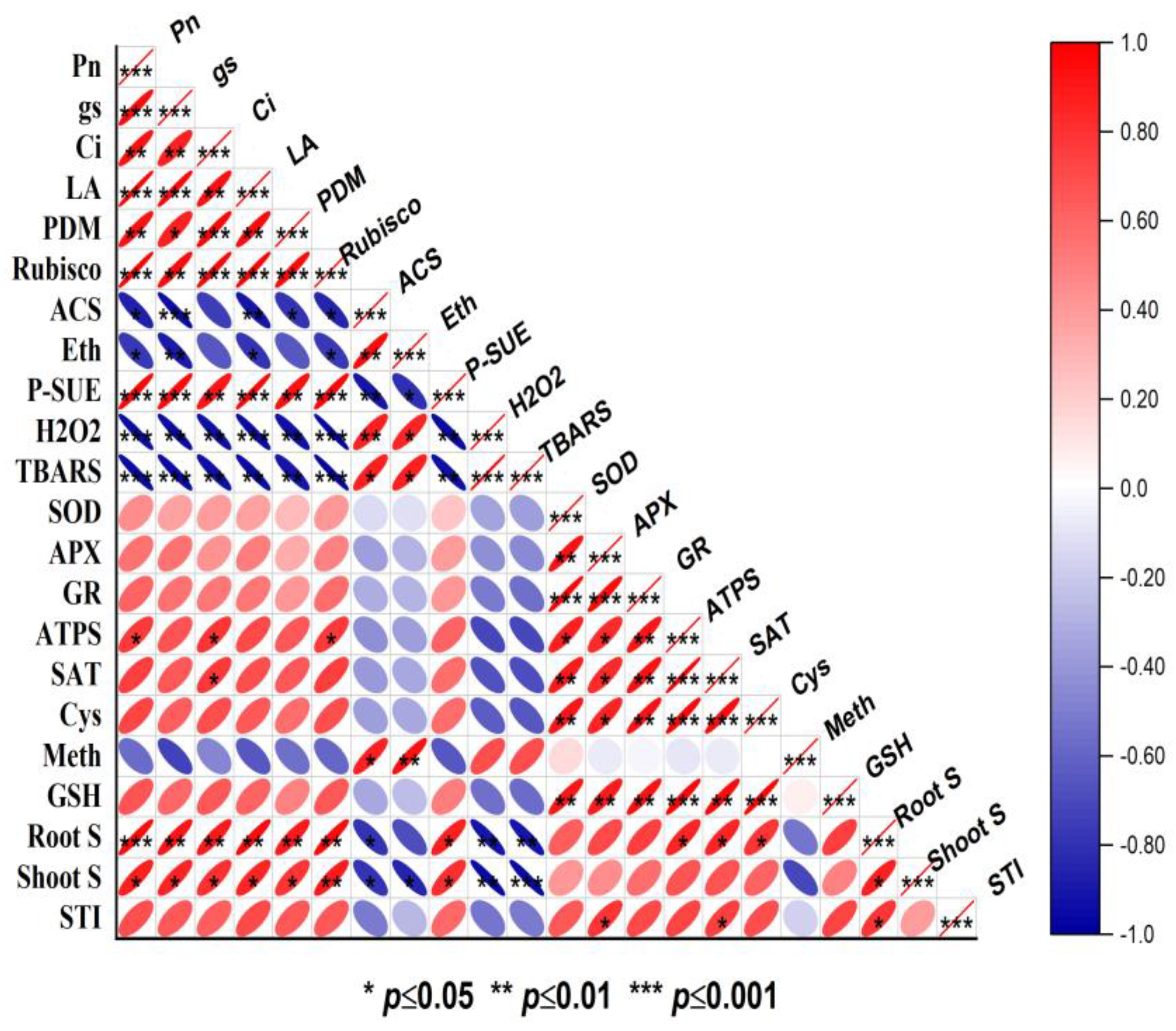 Plants 12 03160 g008