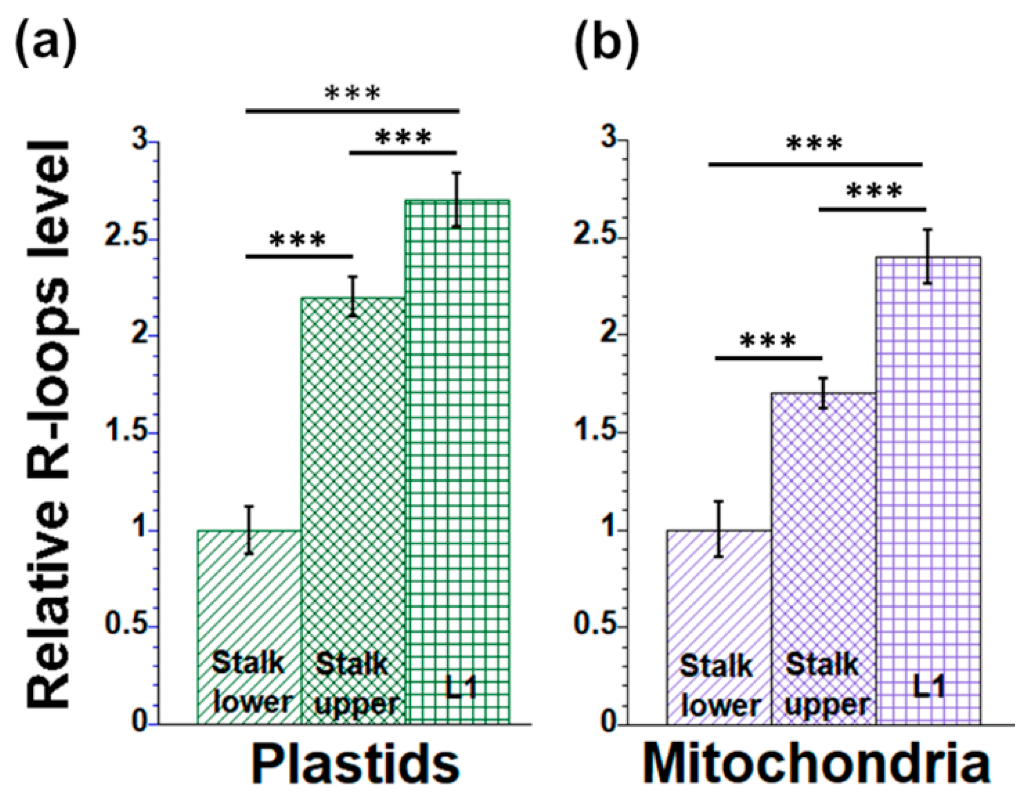 Plants 12 03161 g001