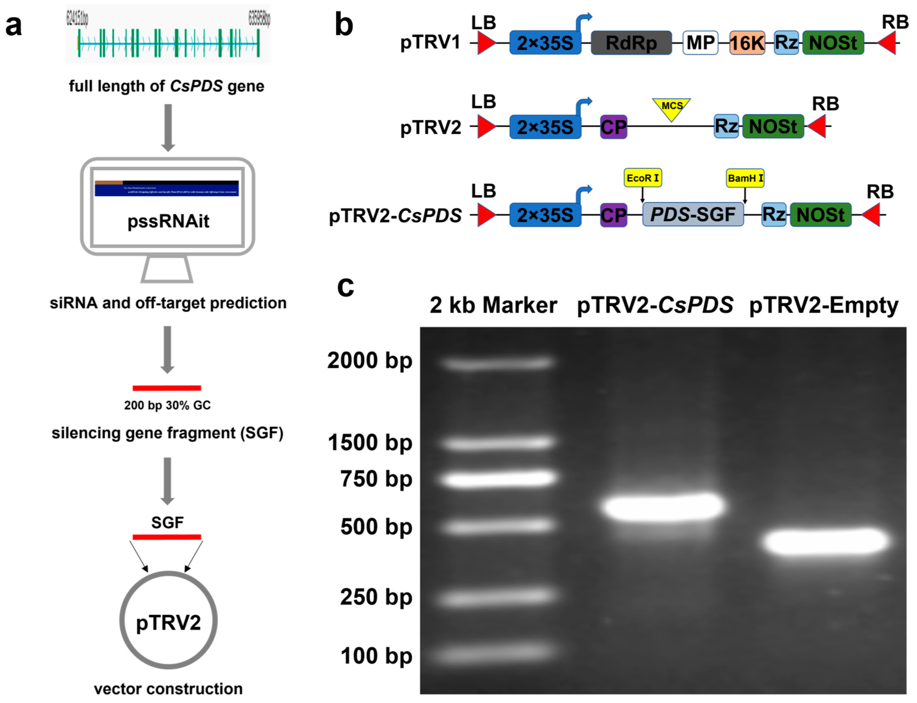 Plants 12 03162 g002