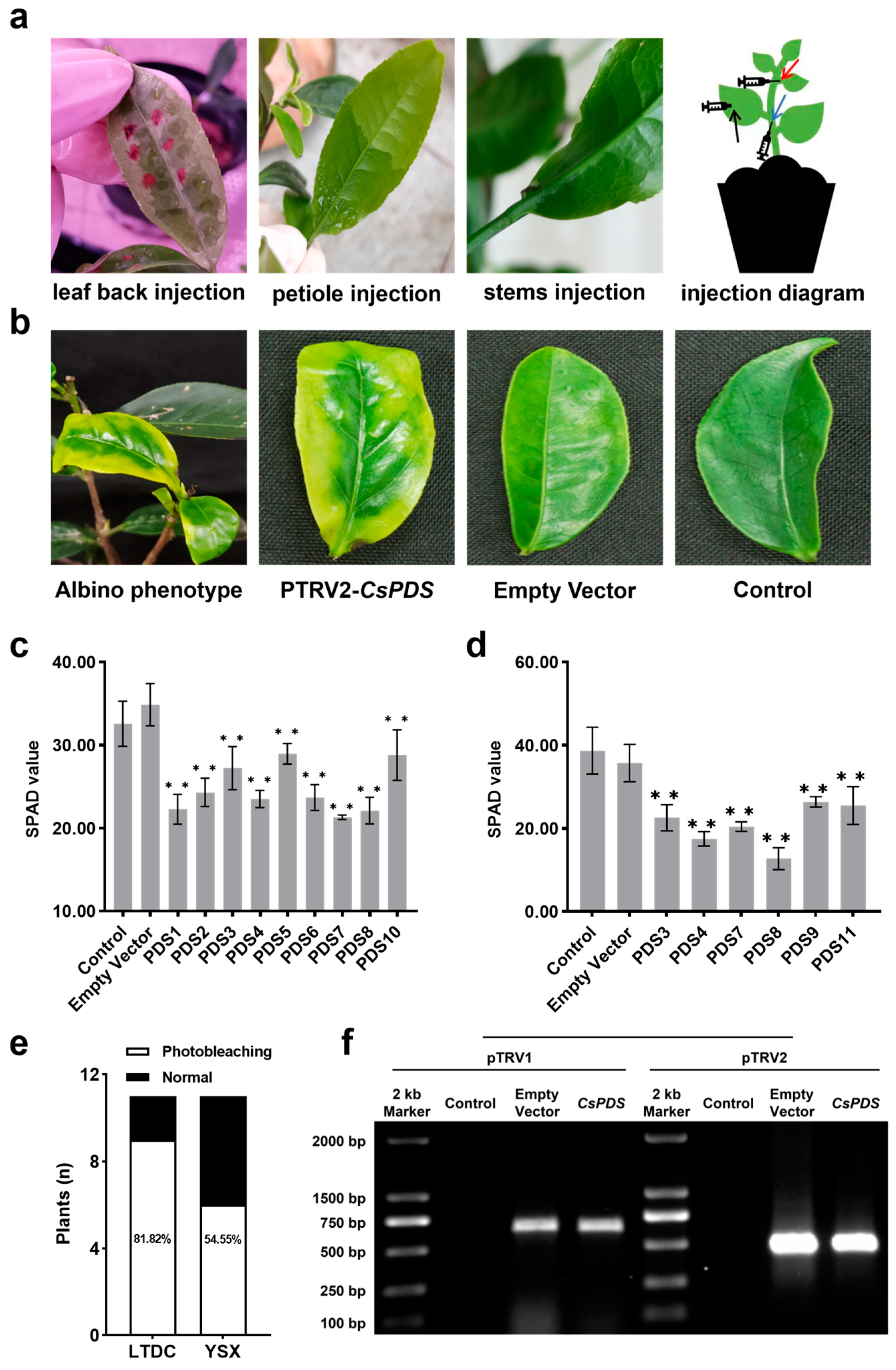 Plants 12 03162 g003