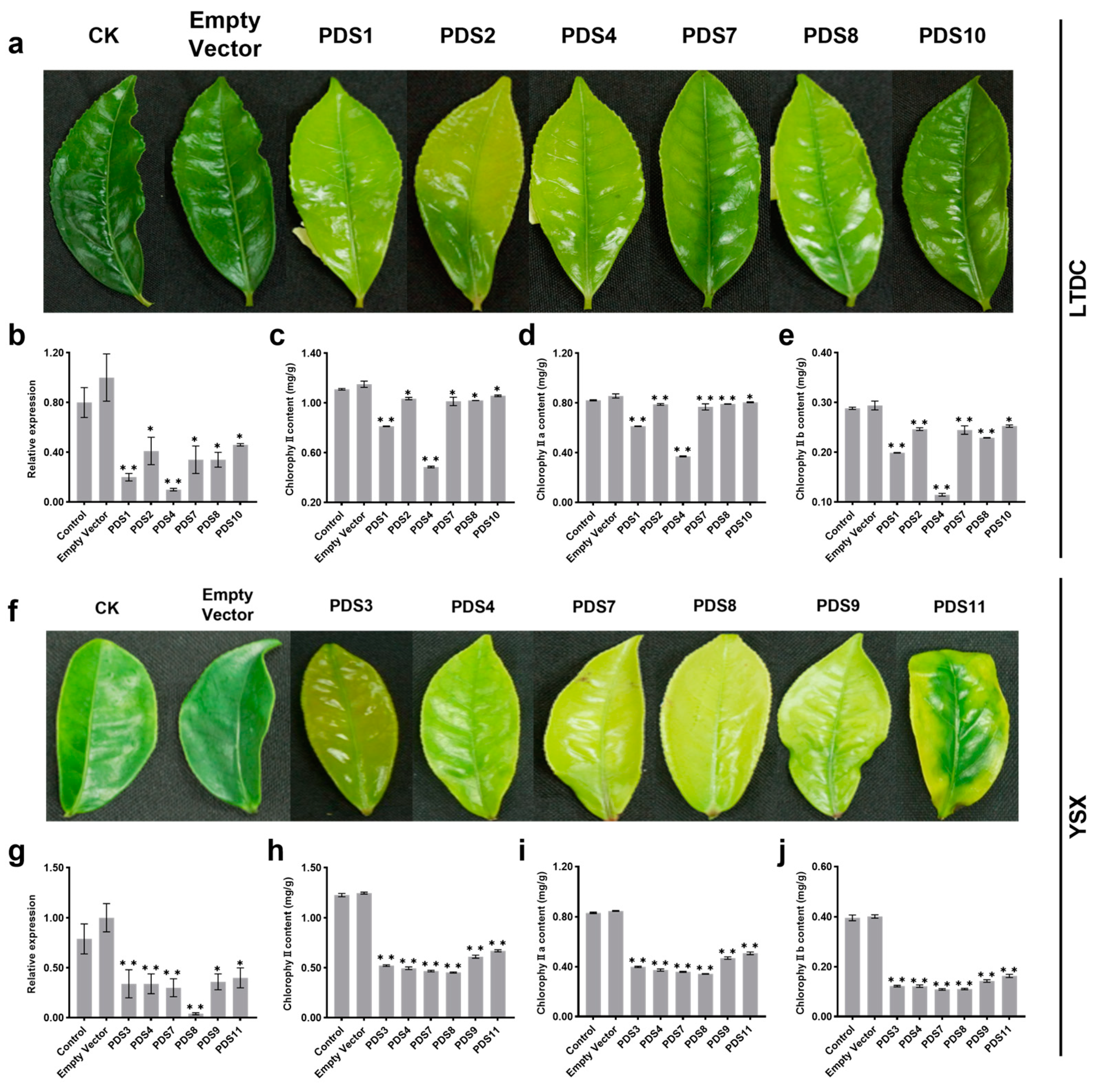 Plants 12 03162 g004