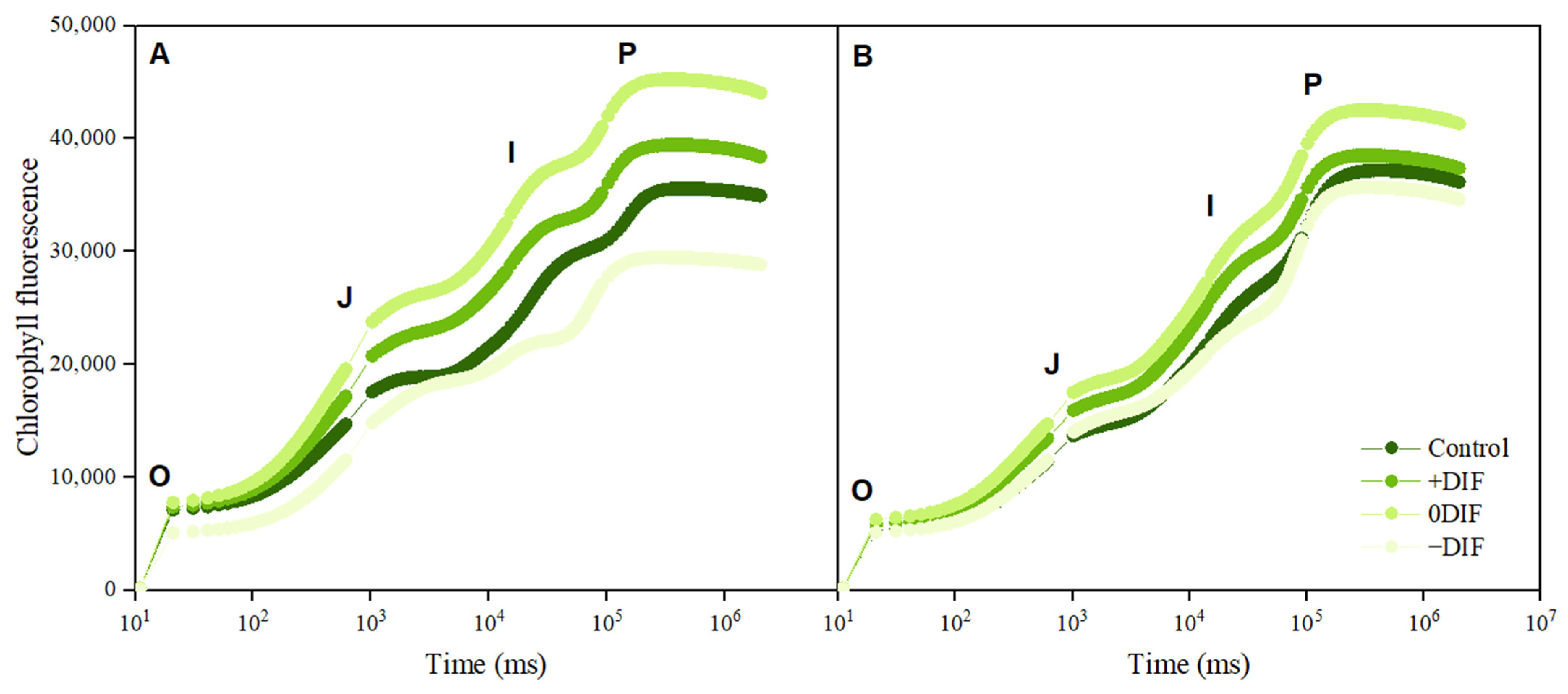 Plants 12 03164 g002