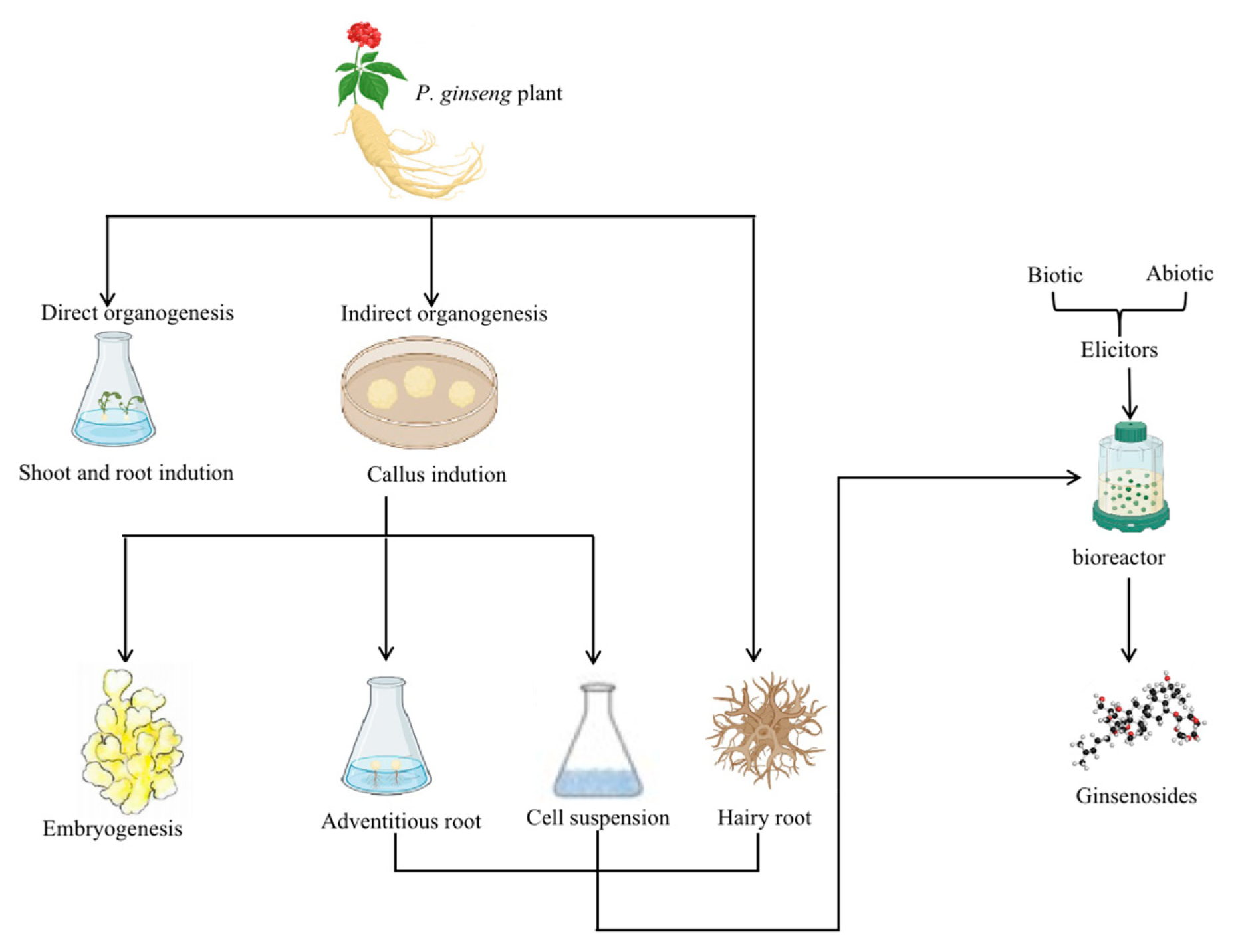 Plants 12 03165 g002
