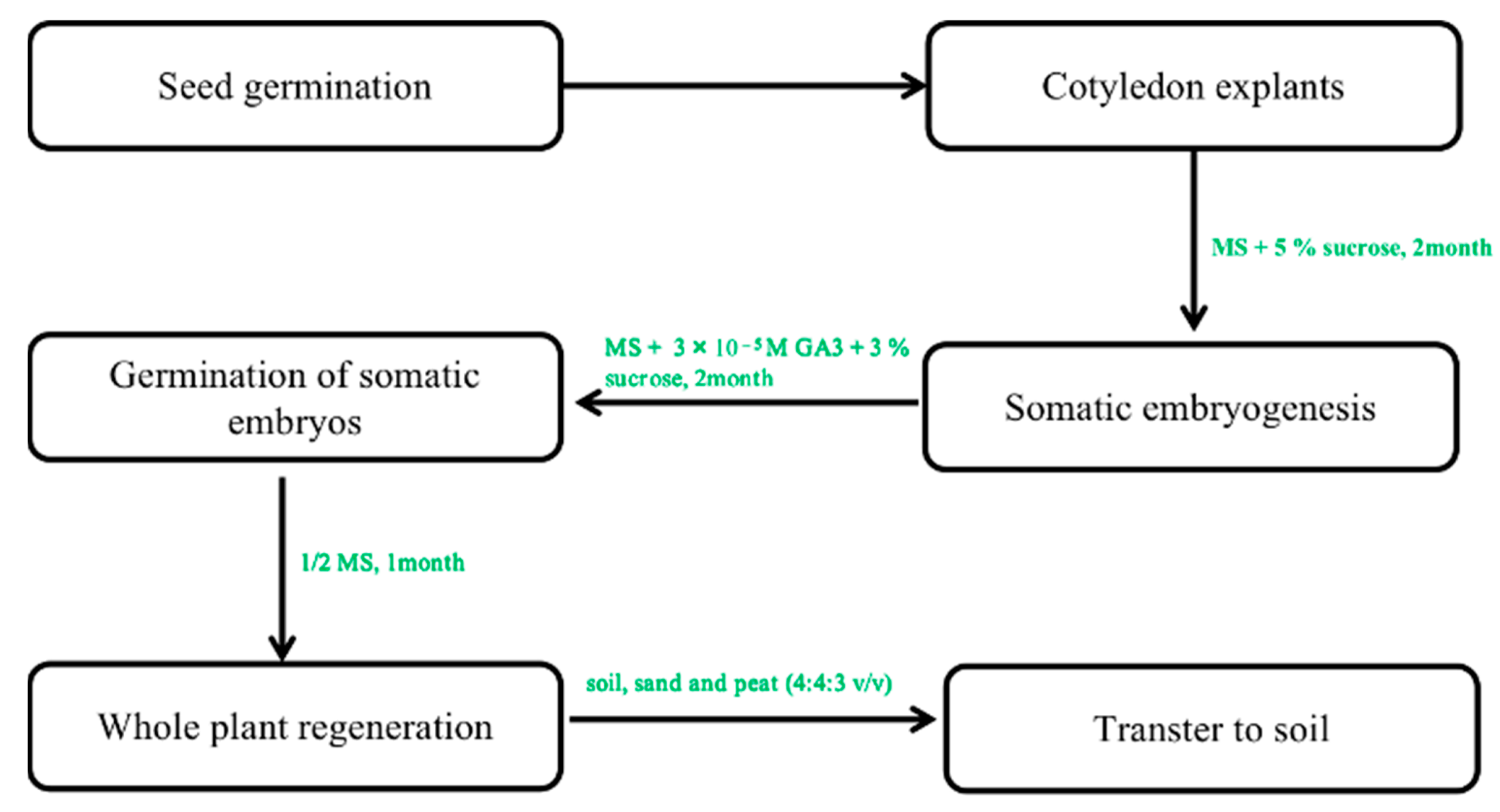 Plants 12 03165 g004