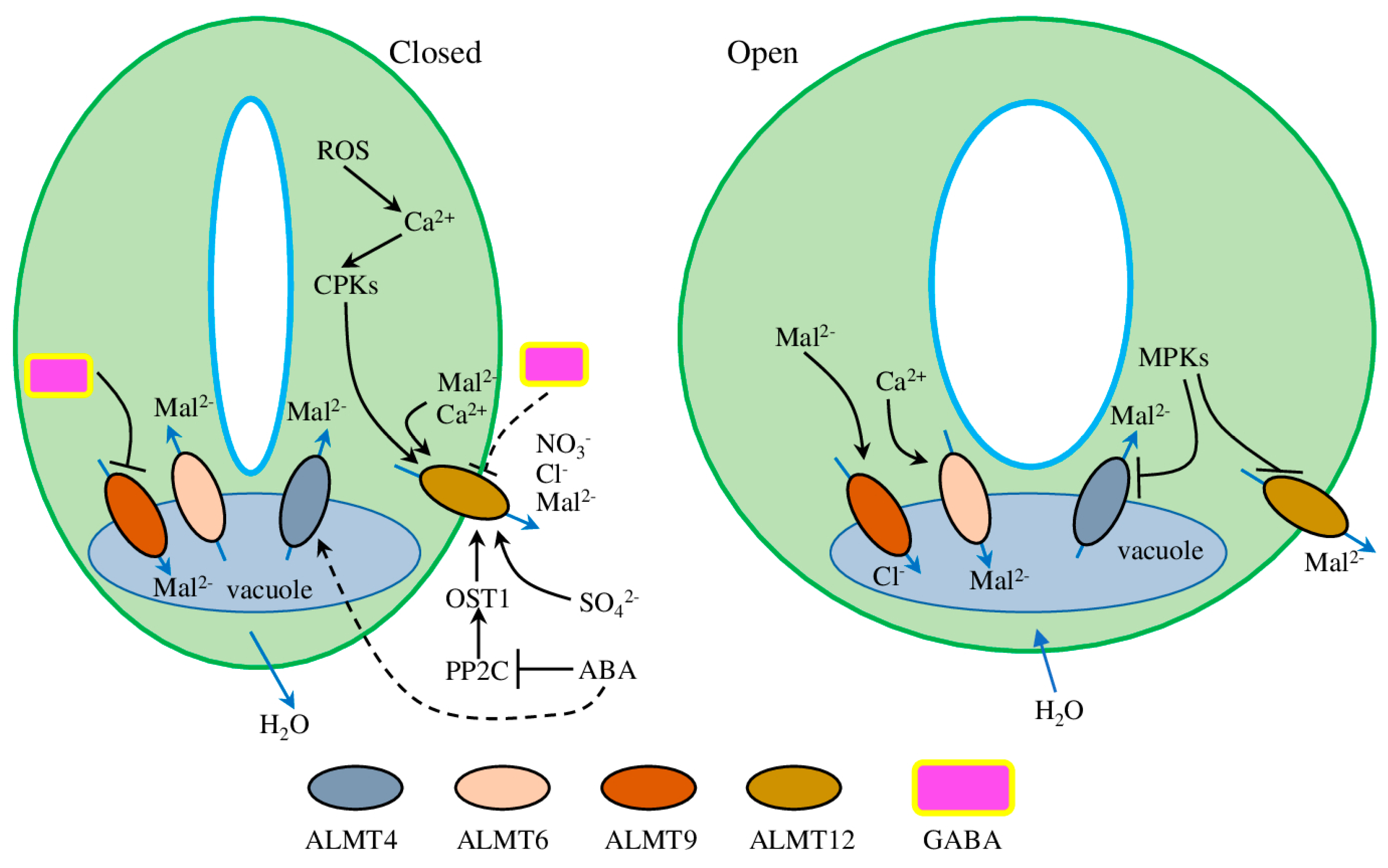 Plants 12 03167 g002