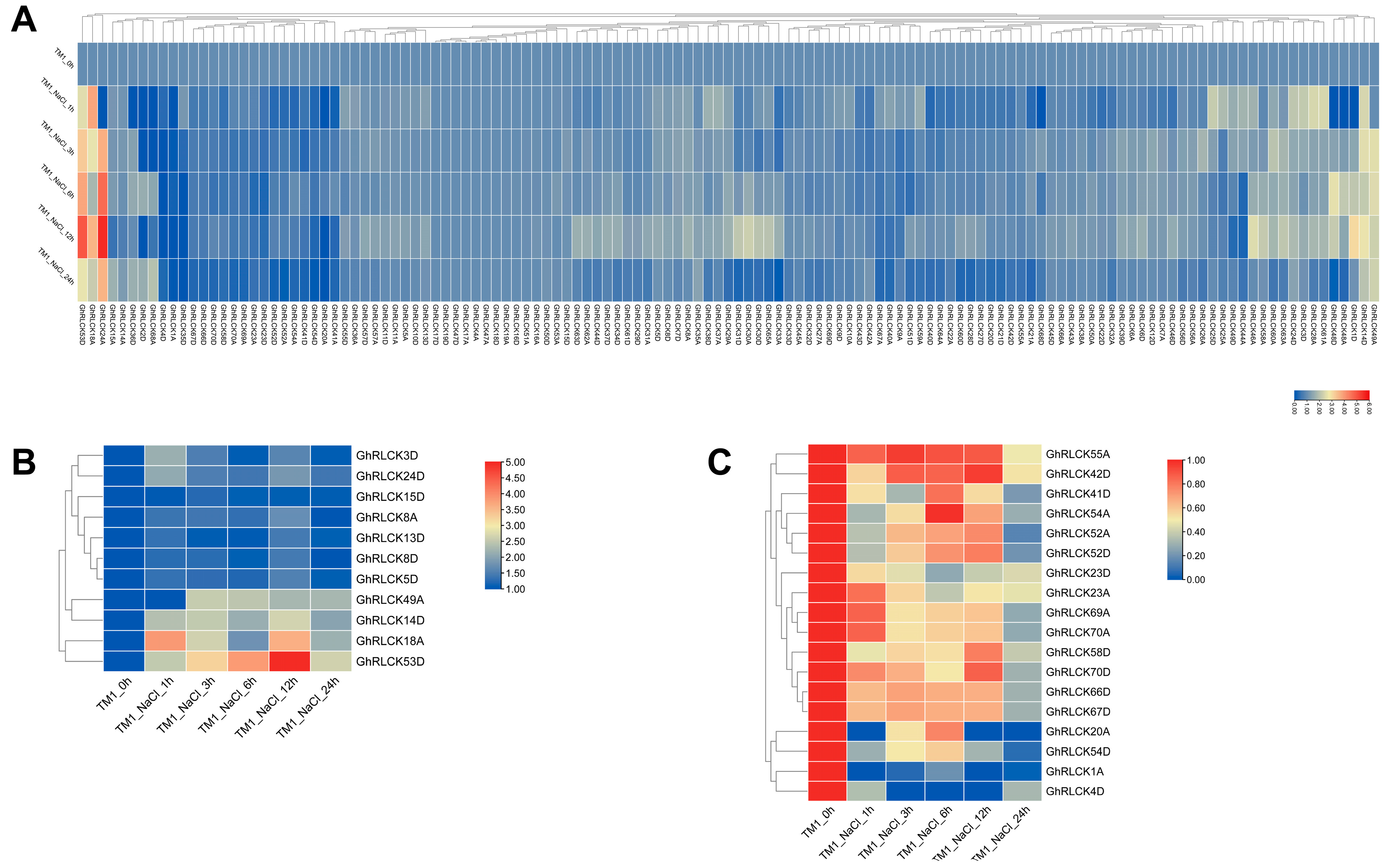 Plants 12 03170 g007