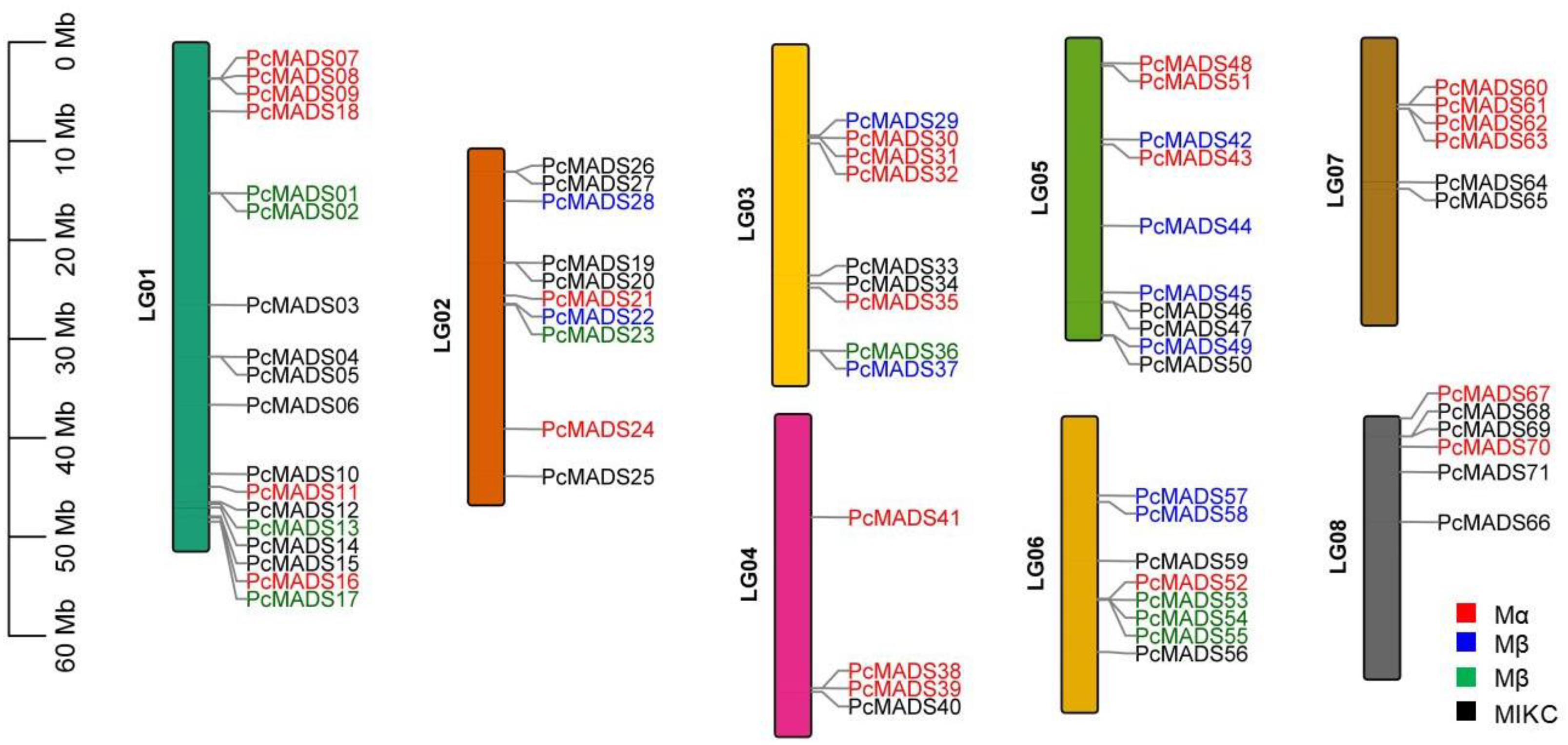 Plants 12 03171 g002