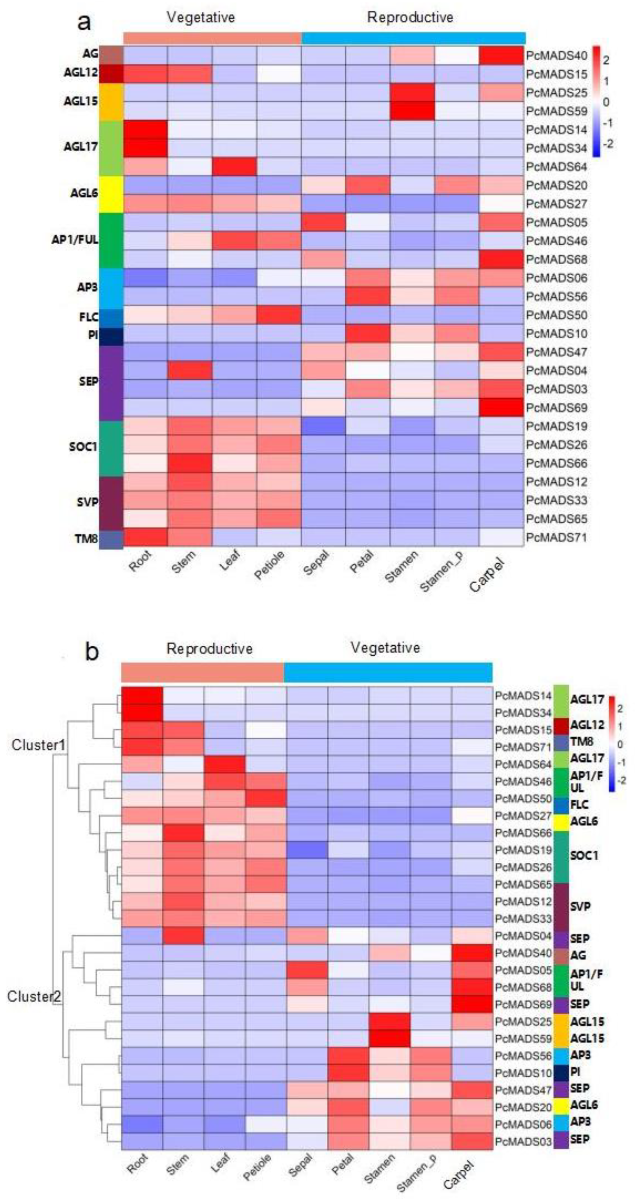 Plants 12 03171 g007