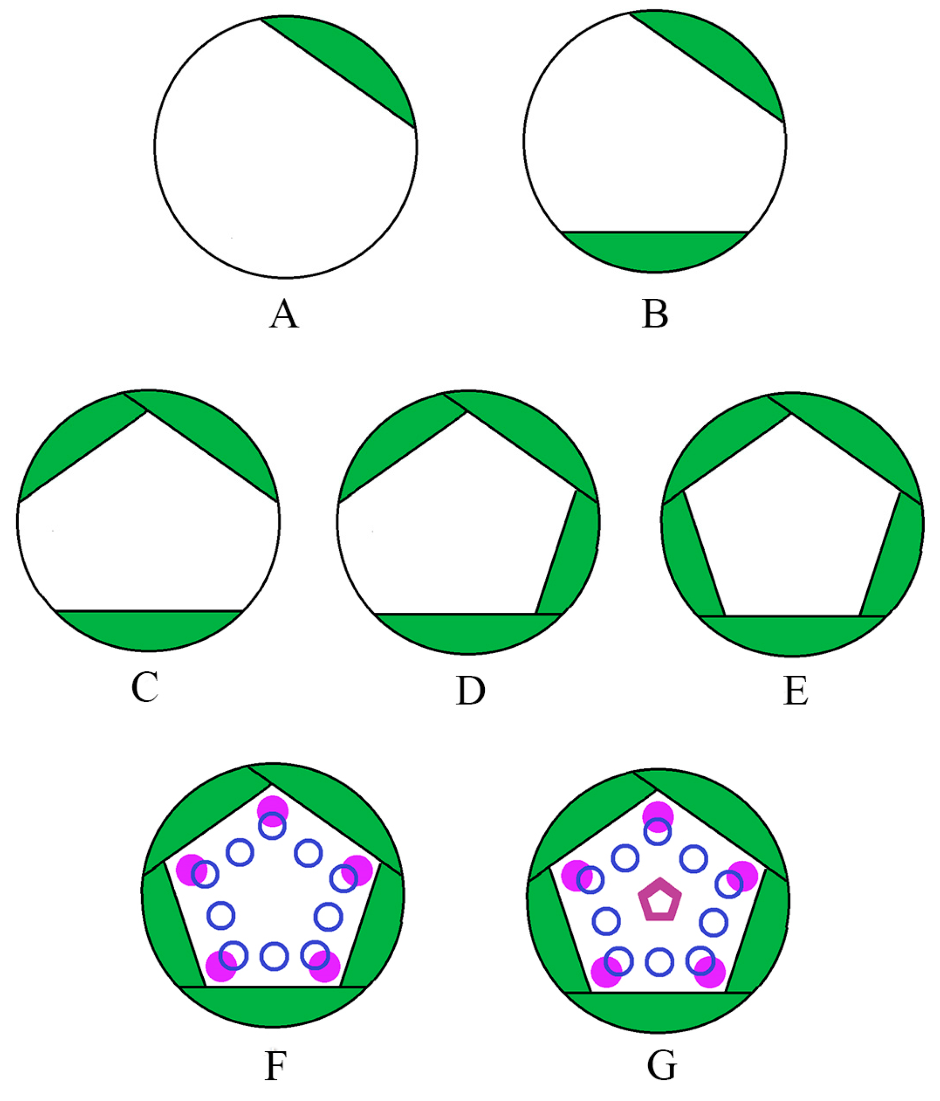 Plants 12 03178 g012