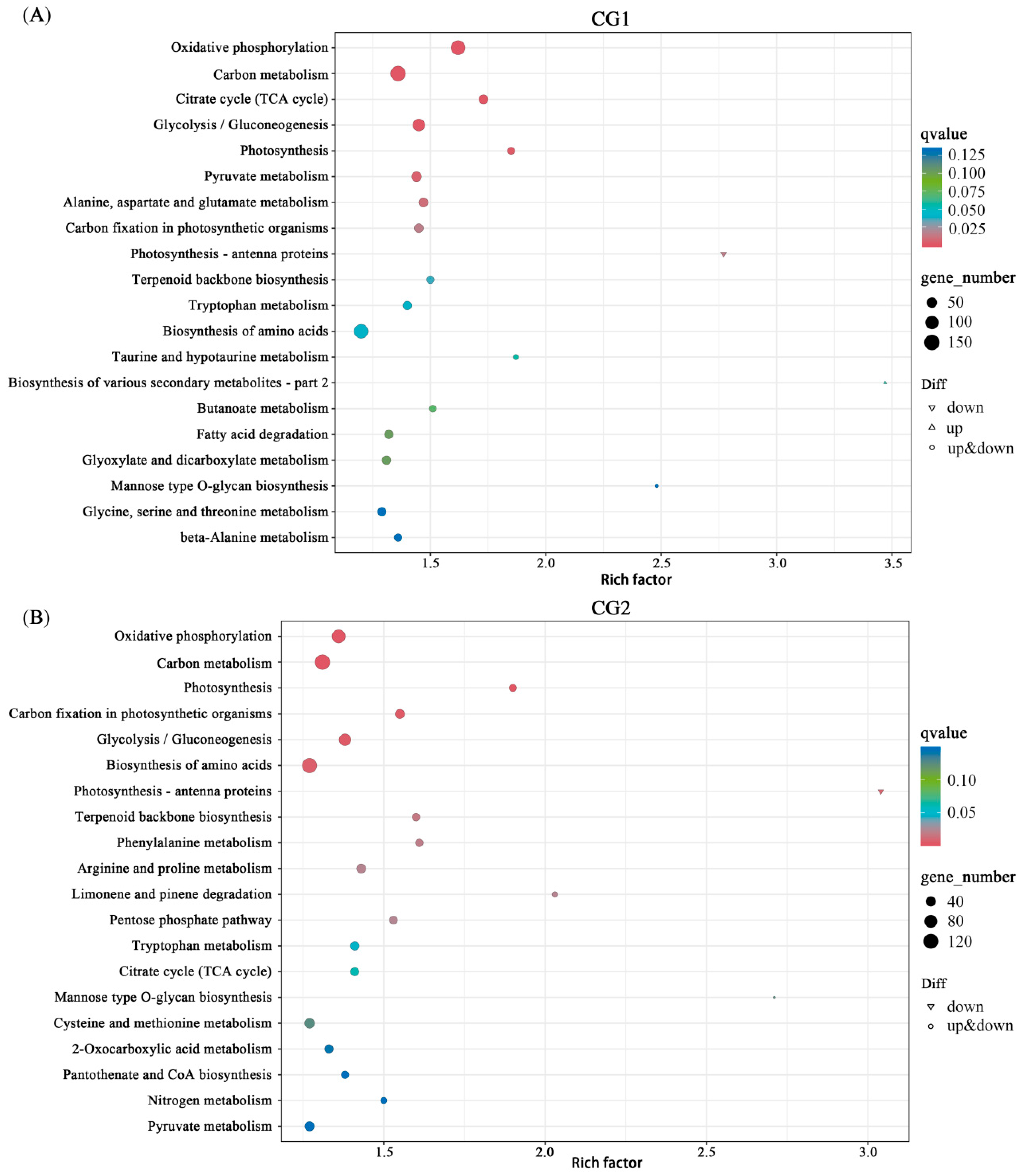 Plants 12 03179 g010