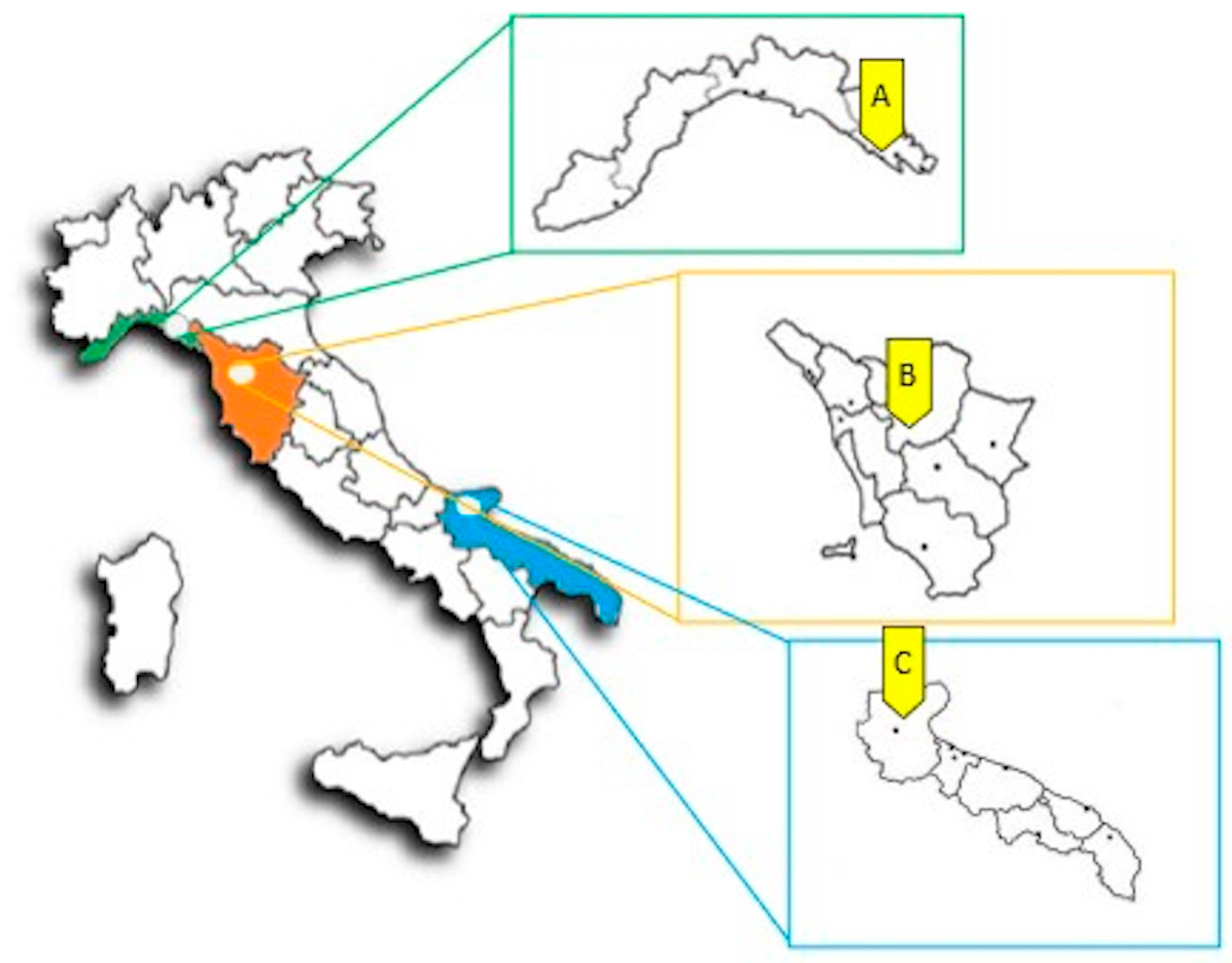 Plants 12 03180 g004