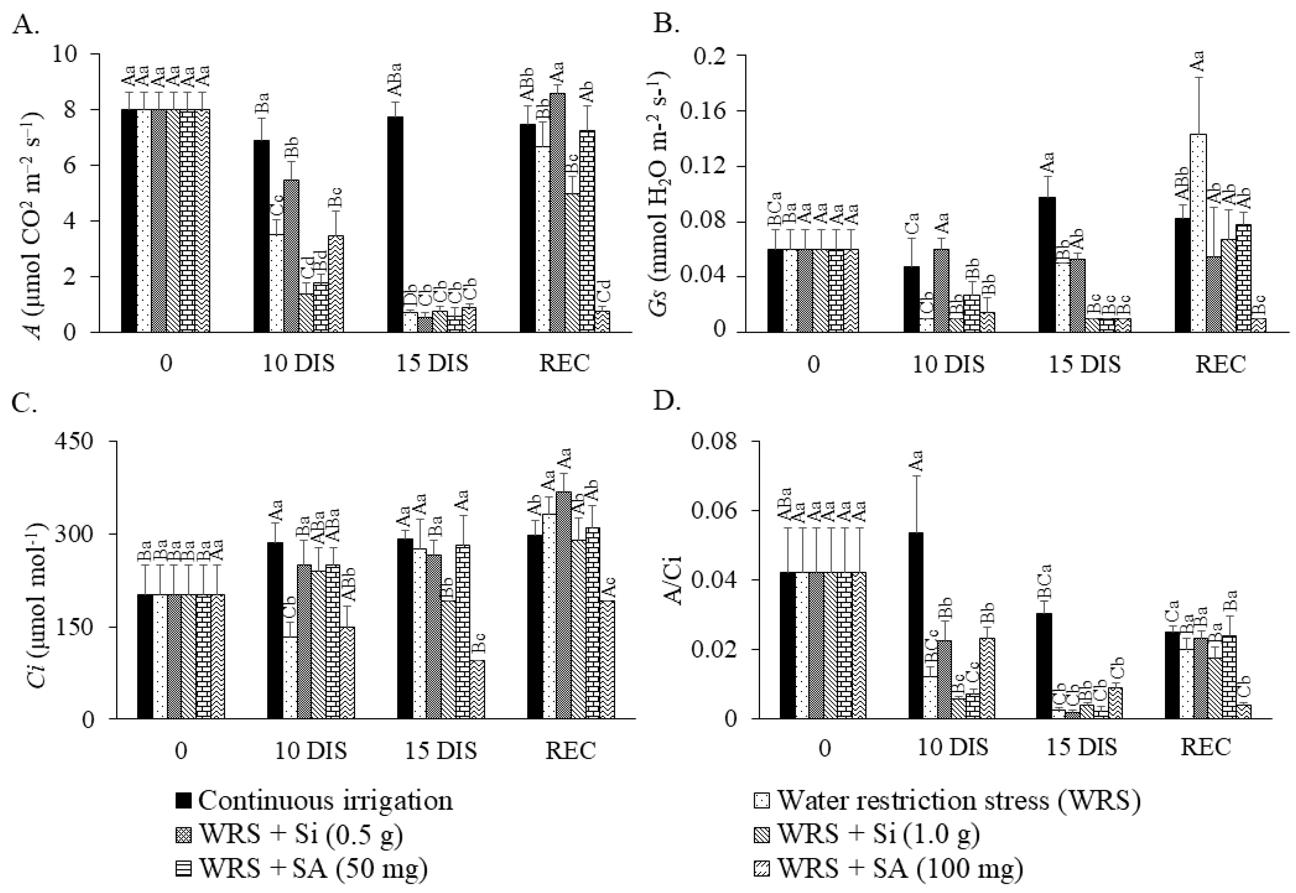 Plants 12 03183 g001