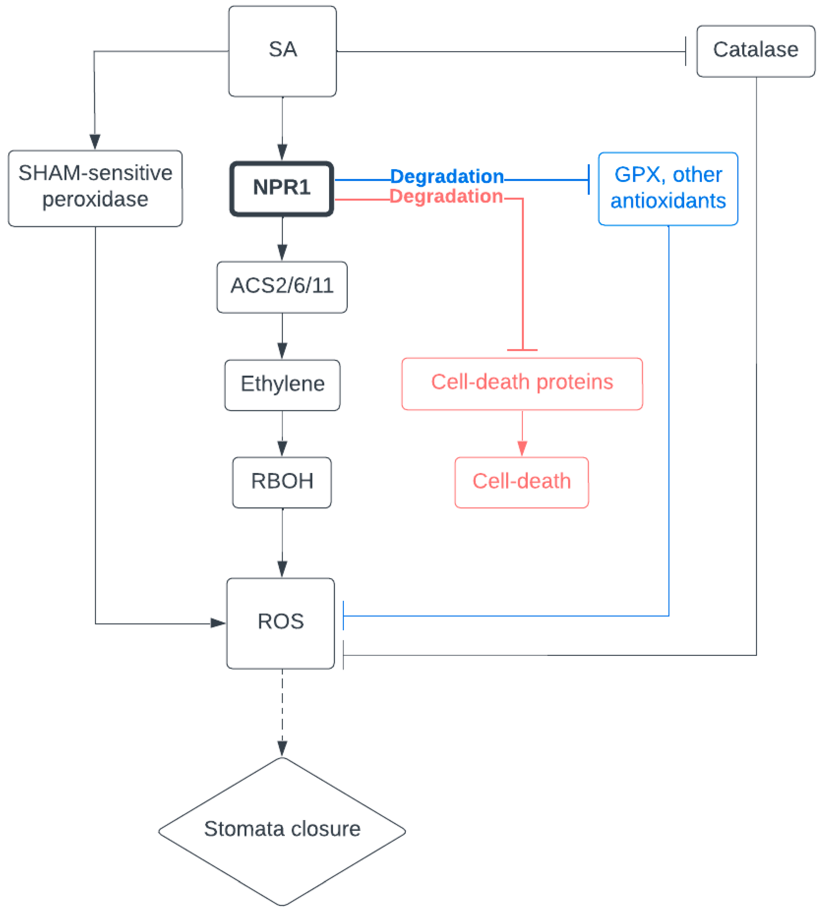 Plants 12 03194 g002 Plants 12 03194 g002