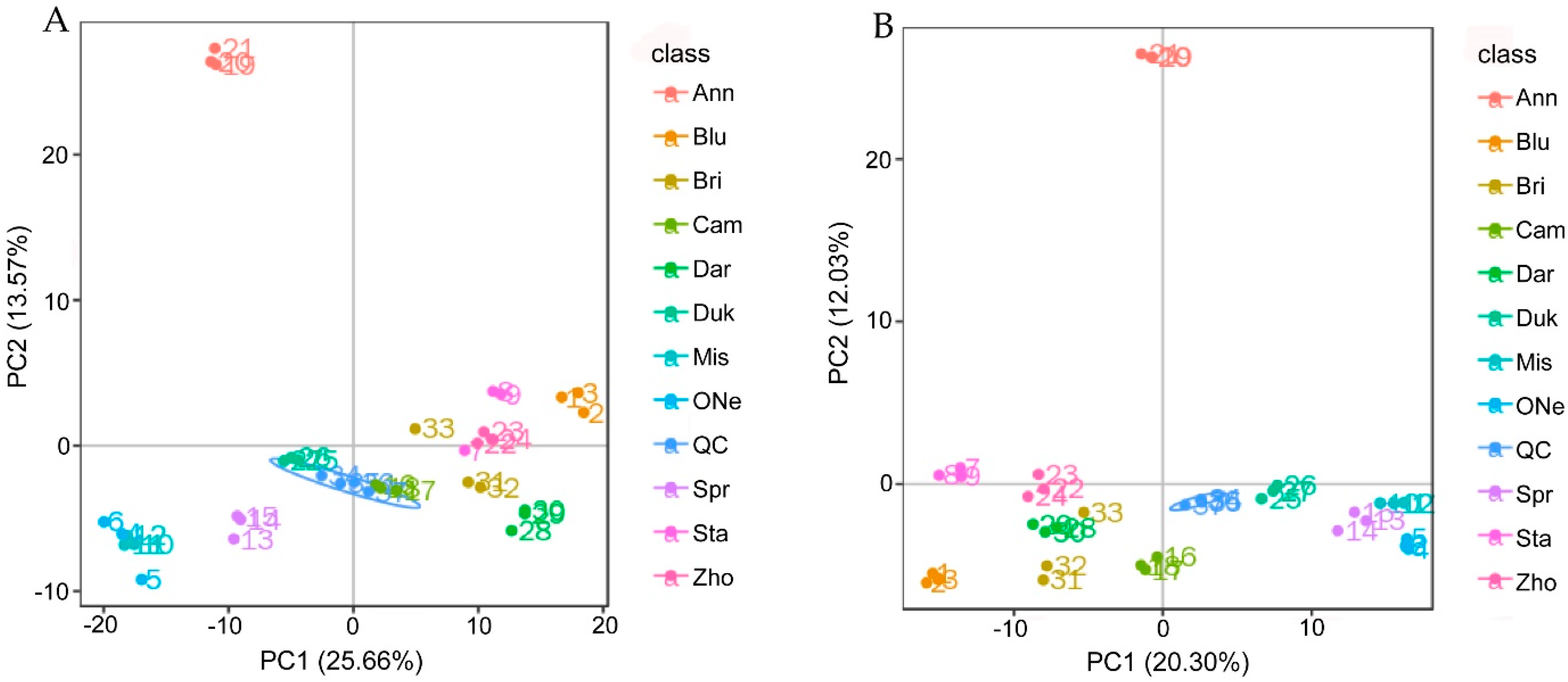 Plants 12 03200 g001