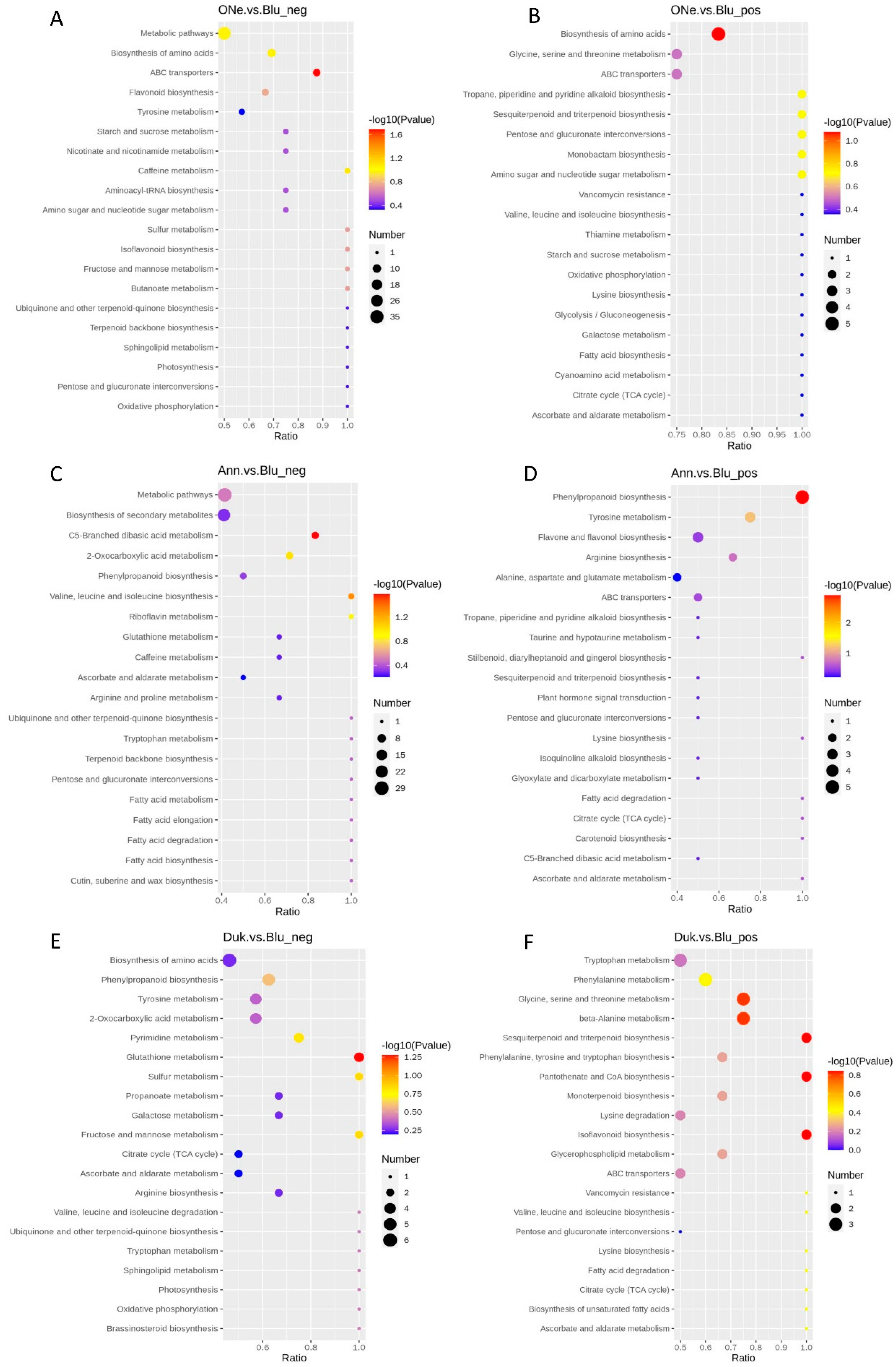 Plants 12 03200 g006