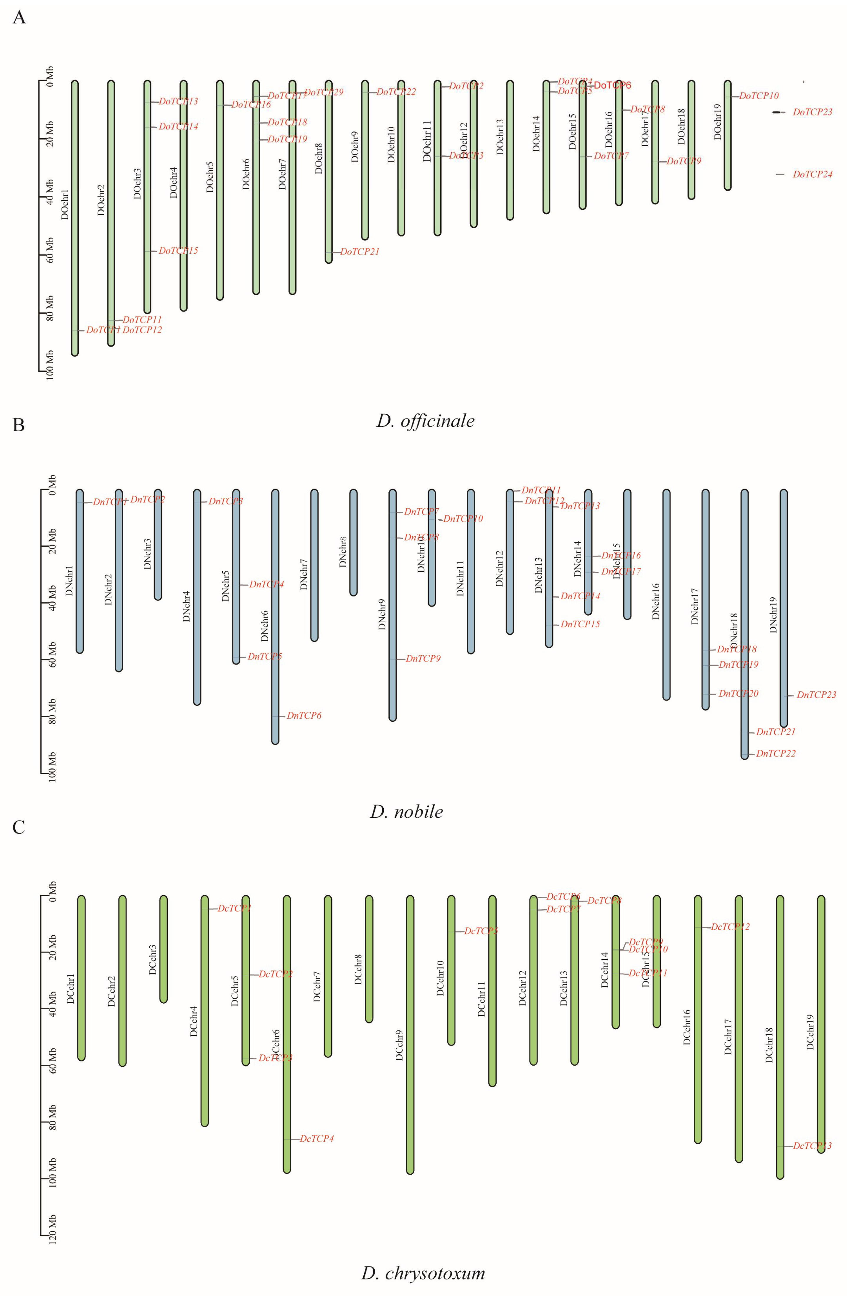 Plants 12 03201 g001