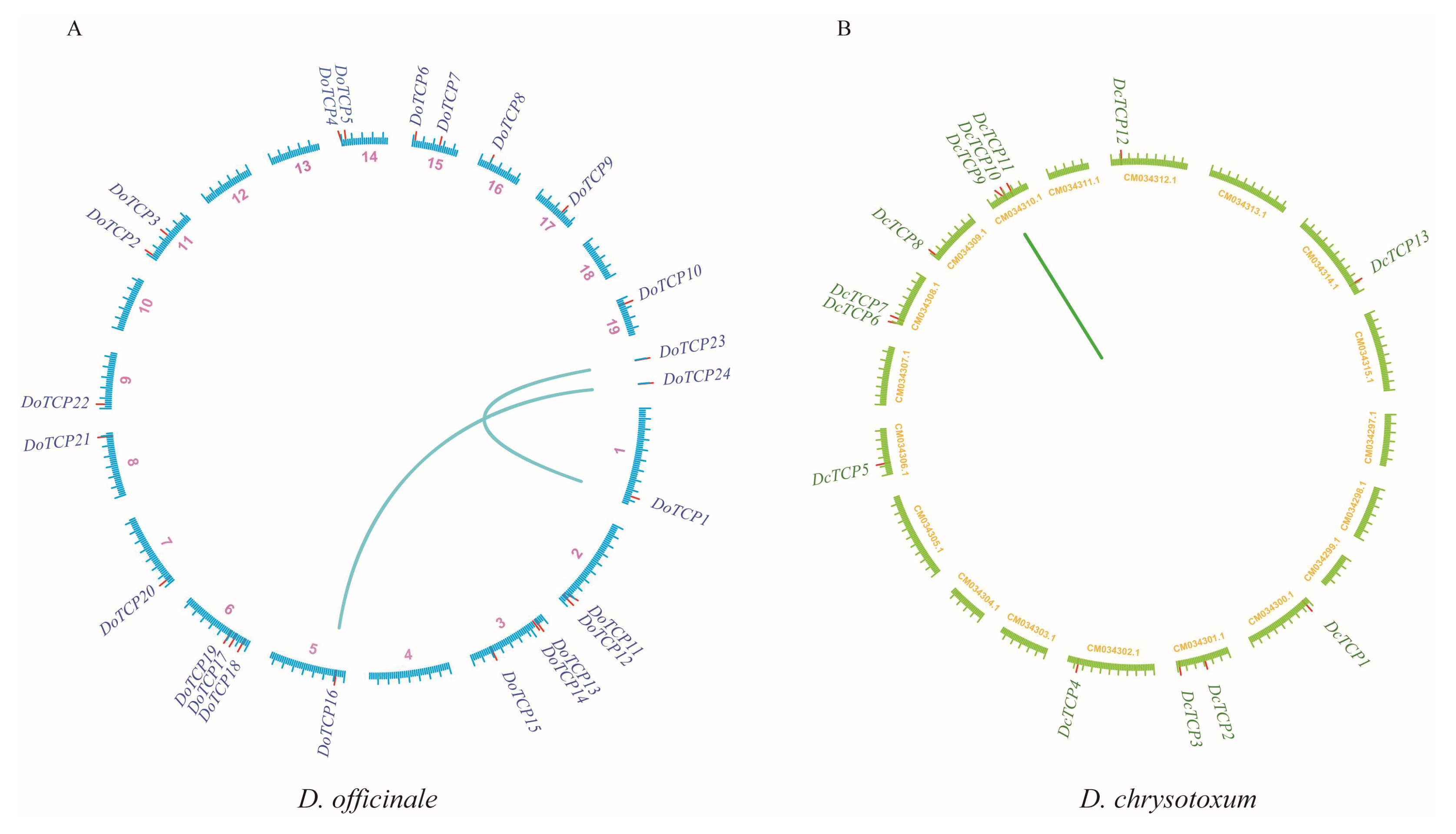 Plants 12 03201 g004