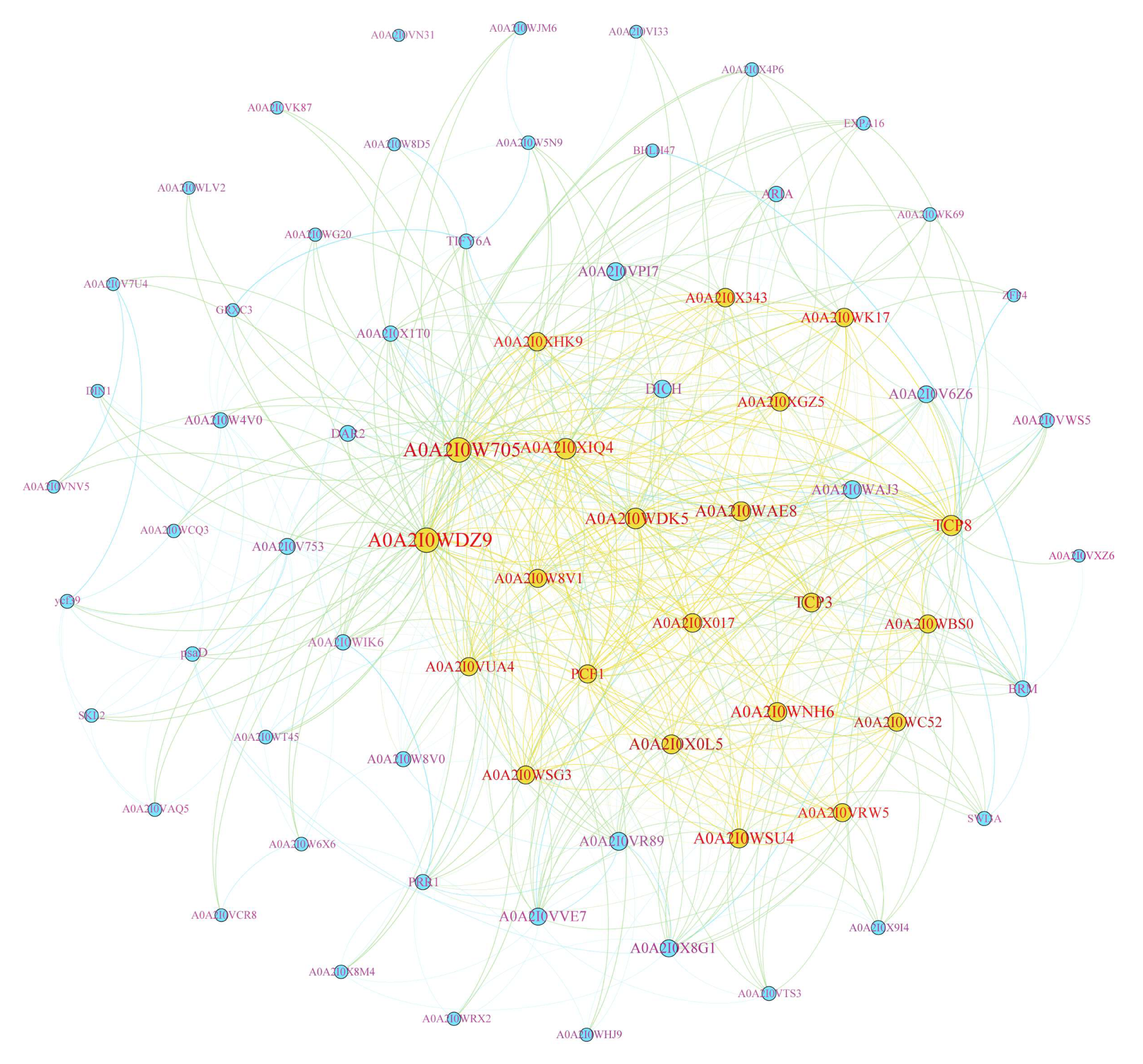 Plants 12 03201 g008