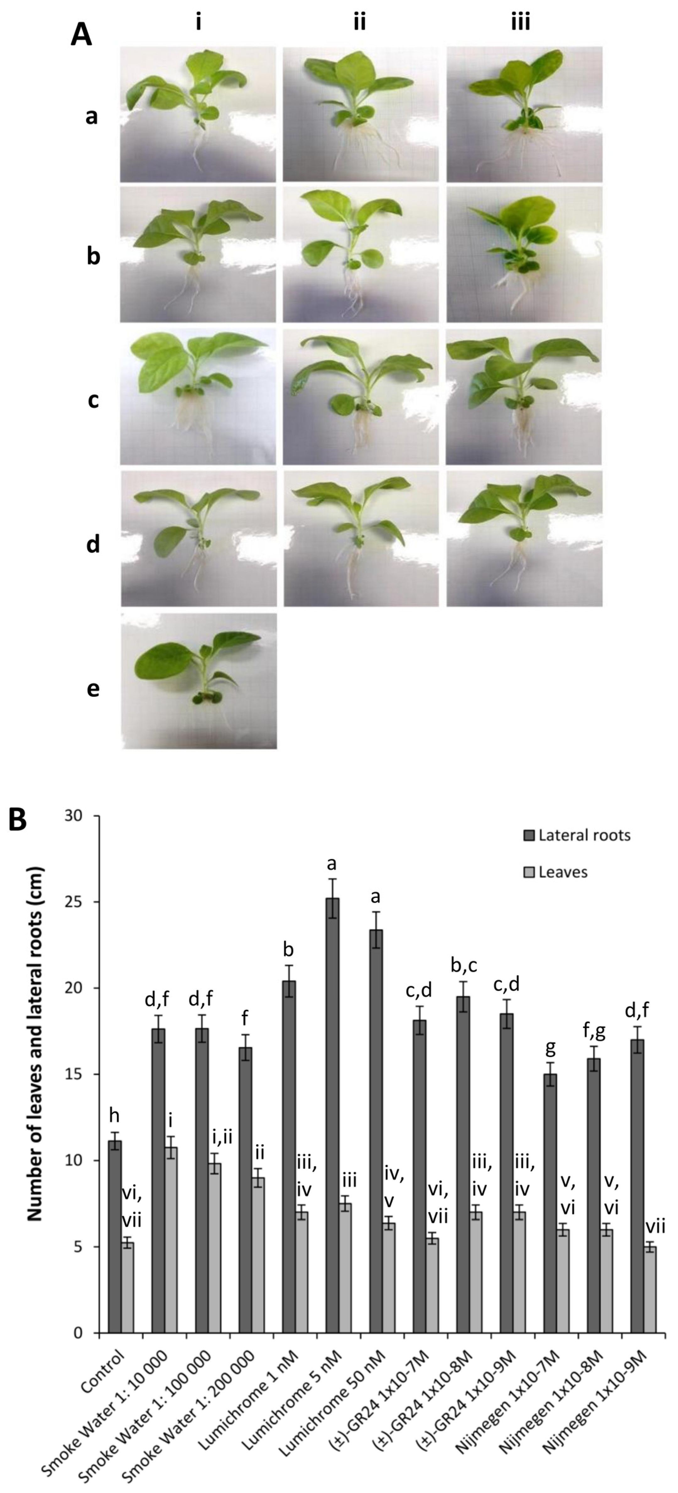 Plants 12 03202 g001