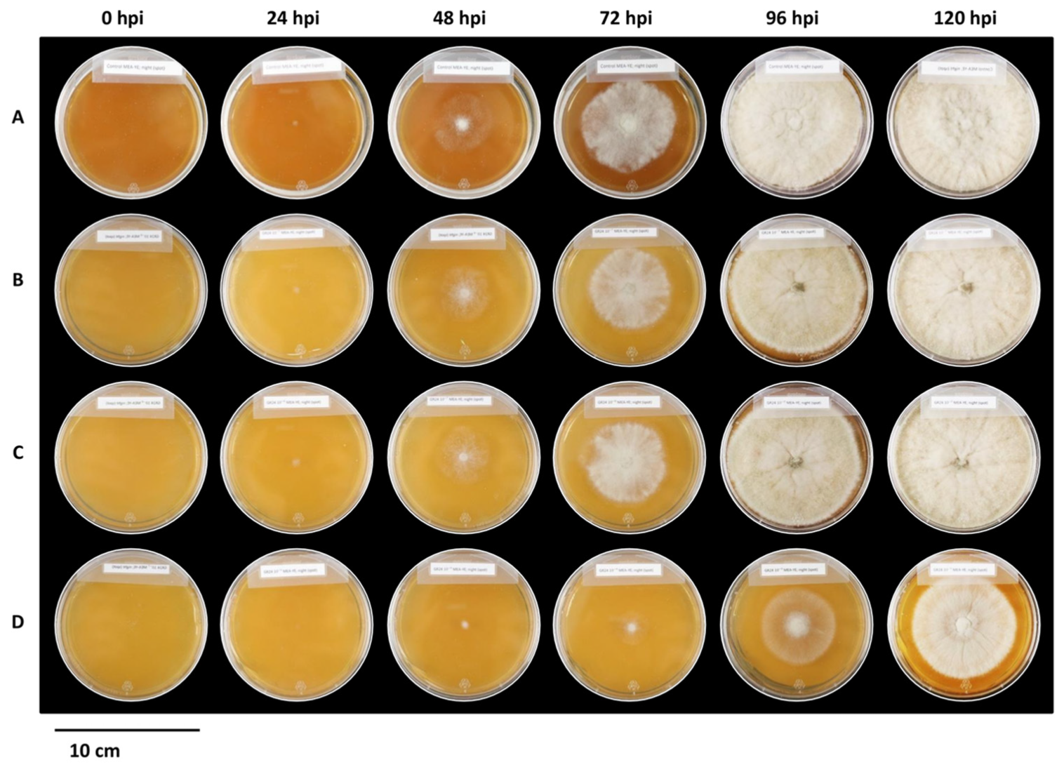 Plants 12 03202 g006