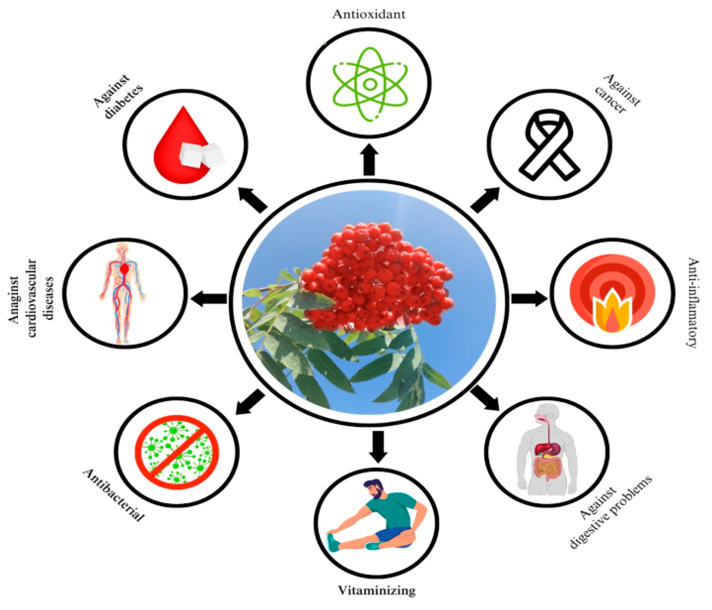 Plants 12 03225 g003