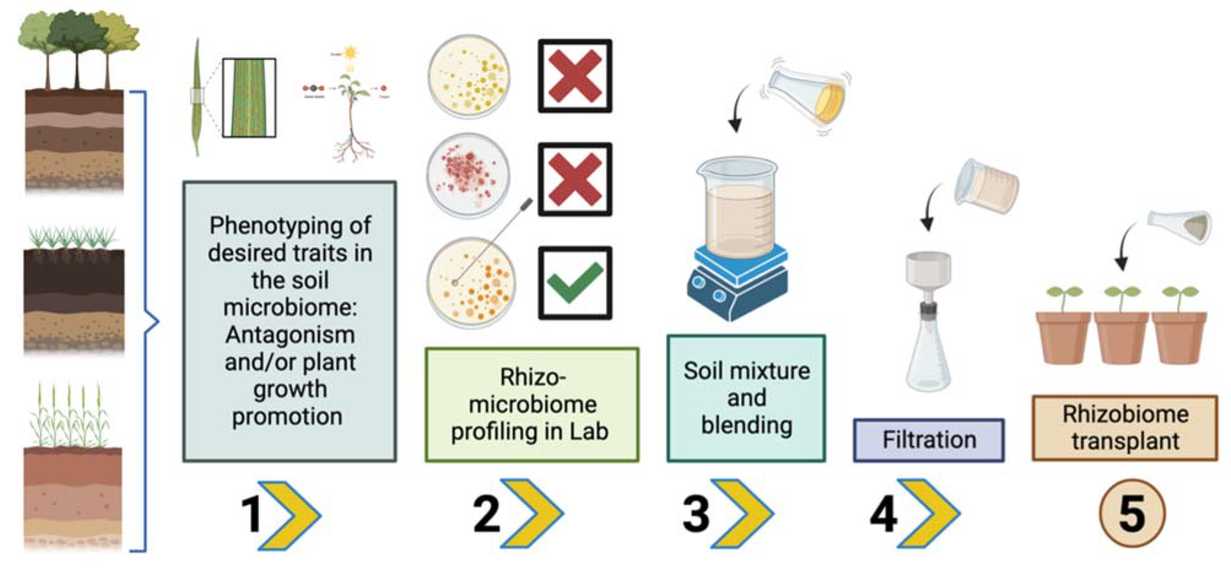 Plants 12 03226 g001