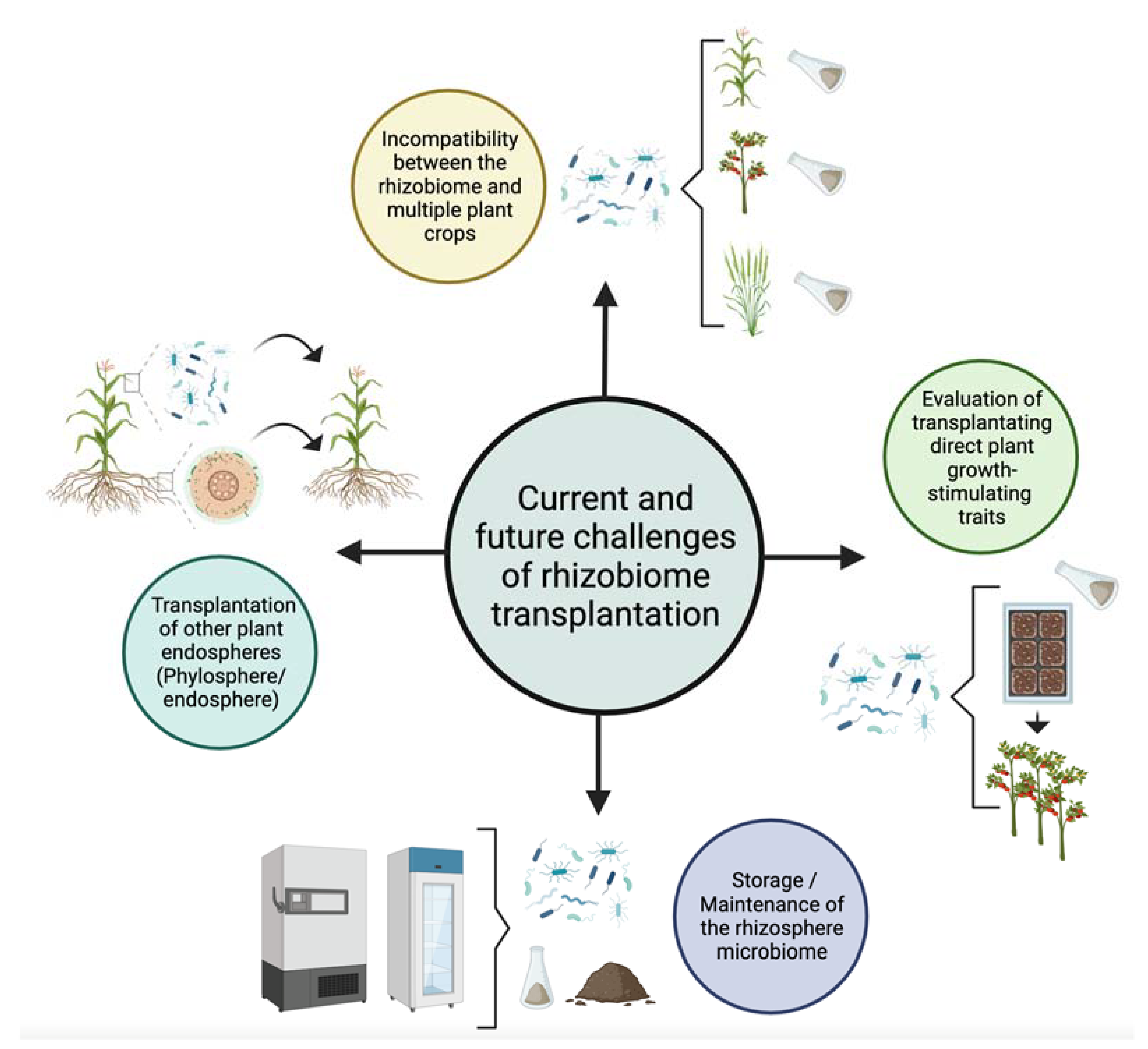 Plants 12 03226 g002