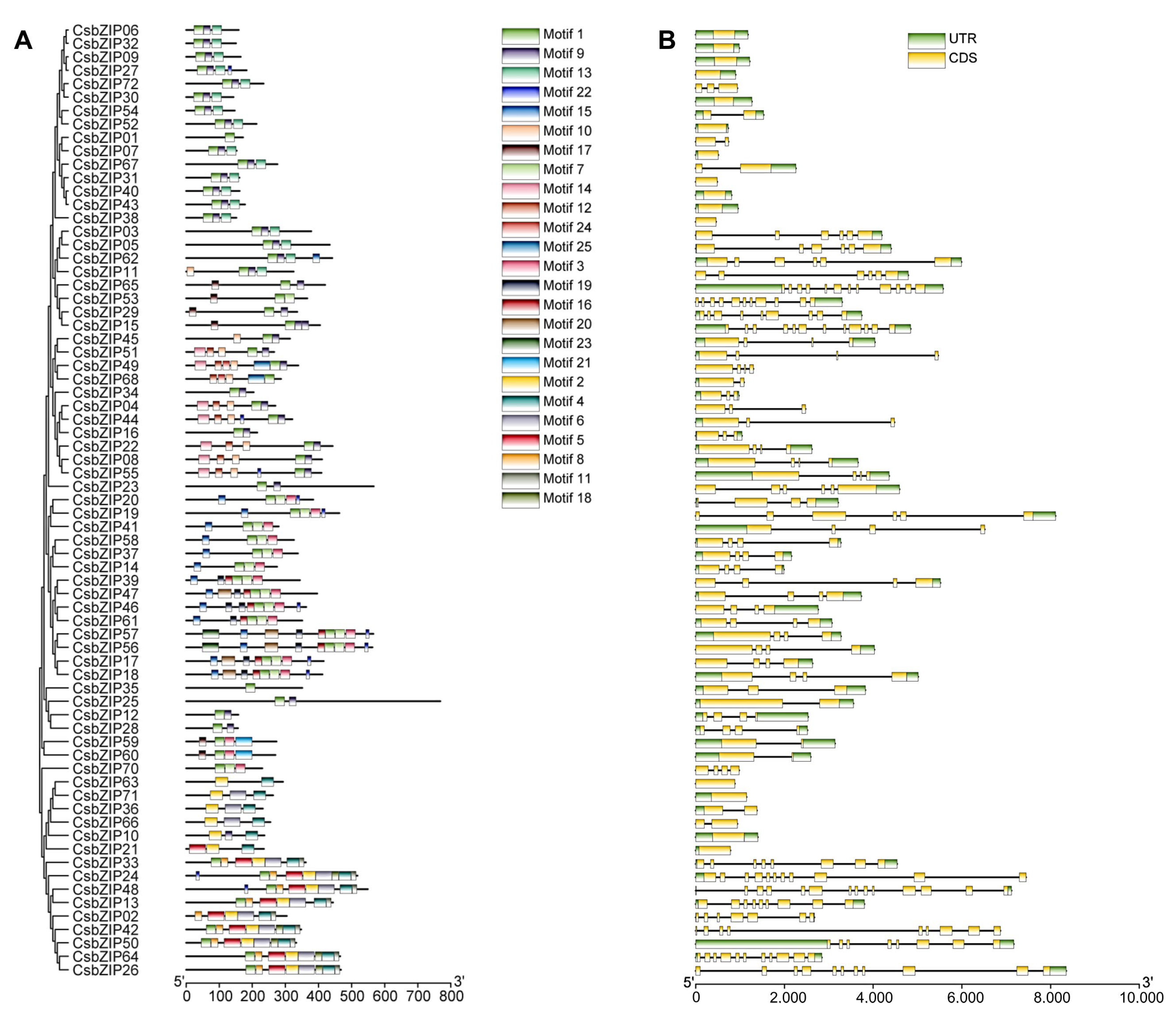 Plants 12 03228 g003