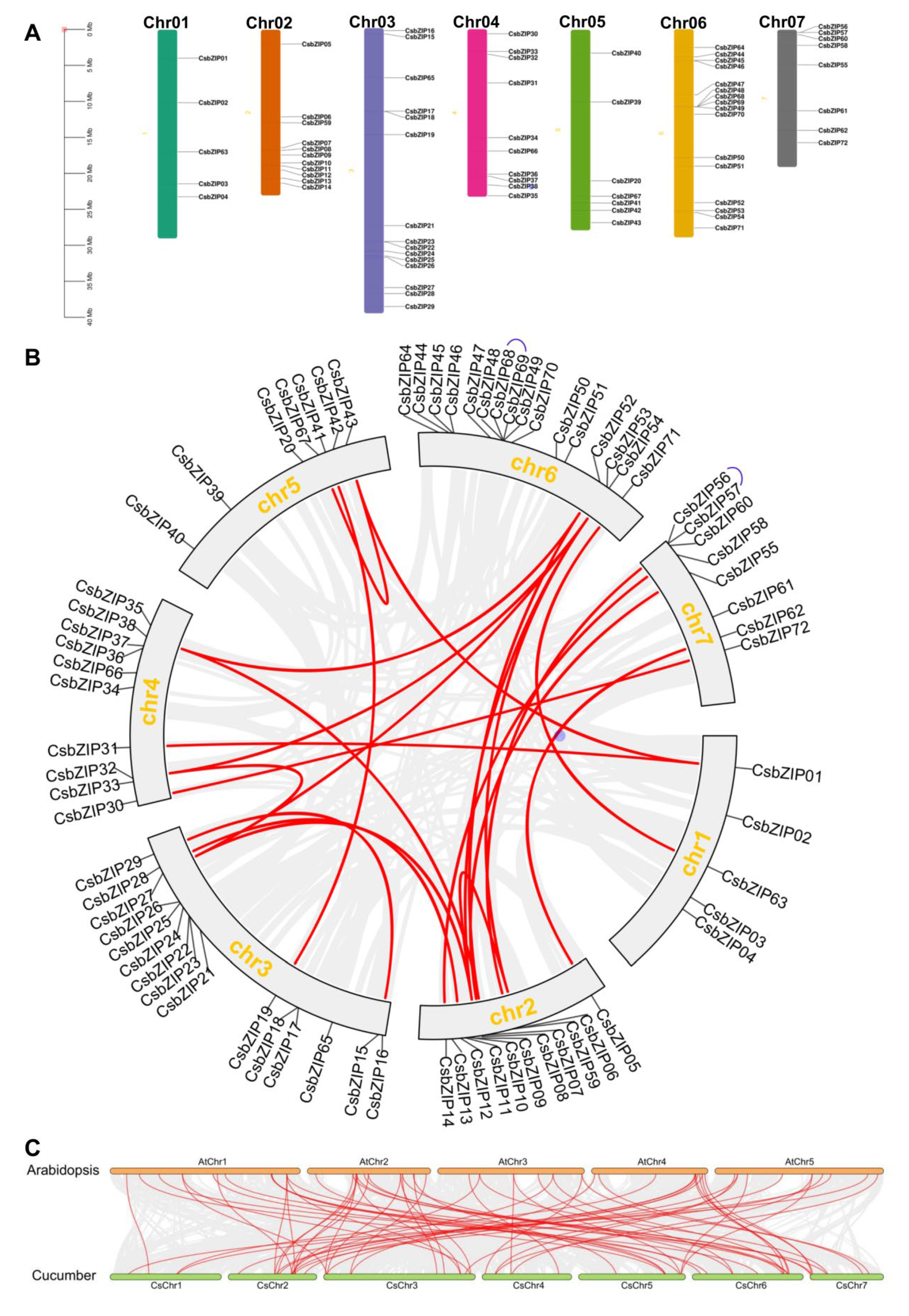 Plants 12 03228 g005