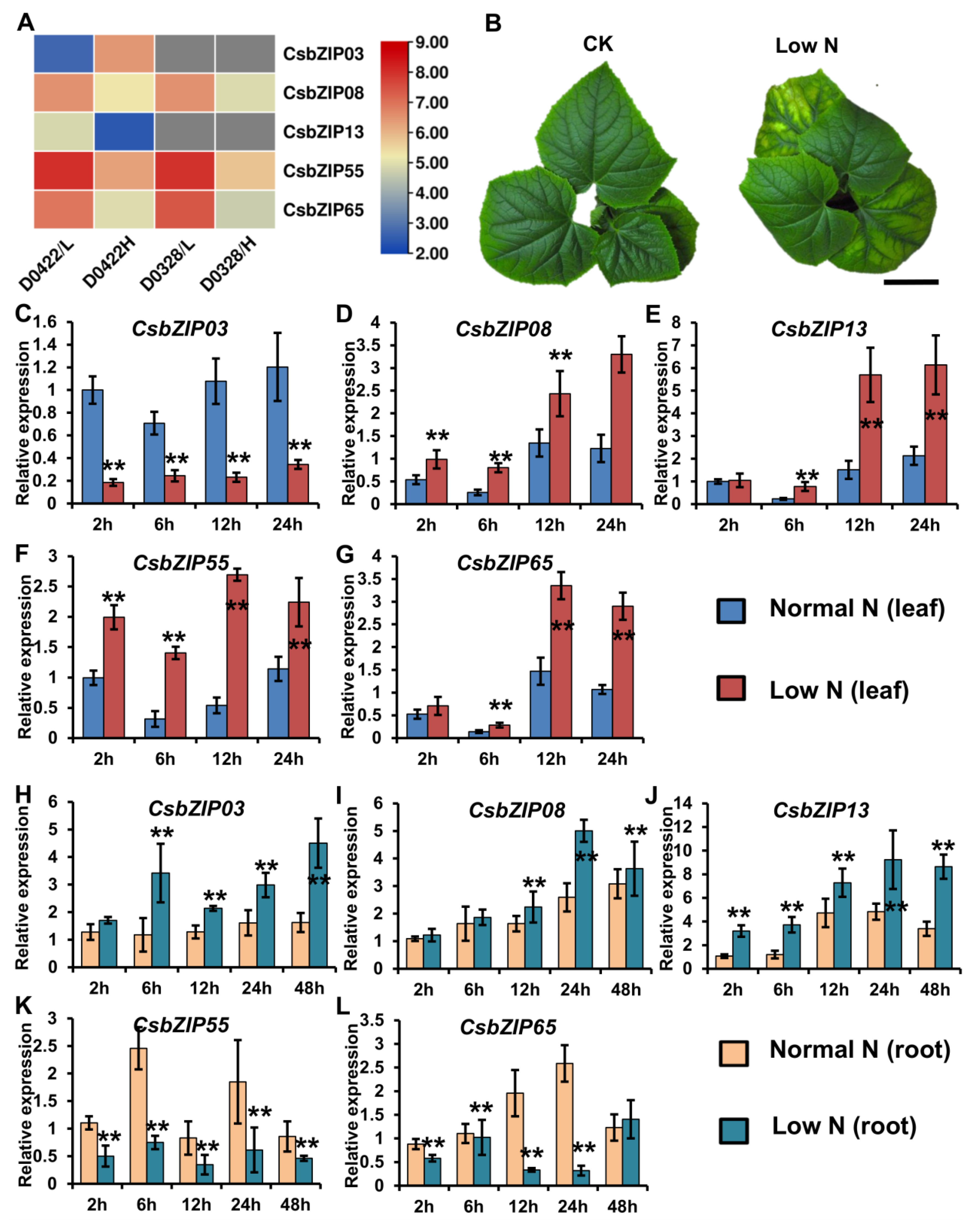 Plants 12 03228 g007