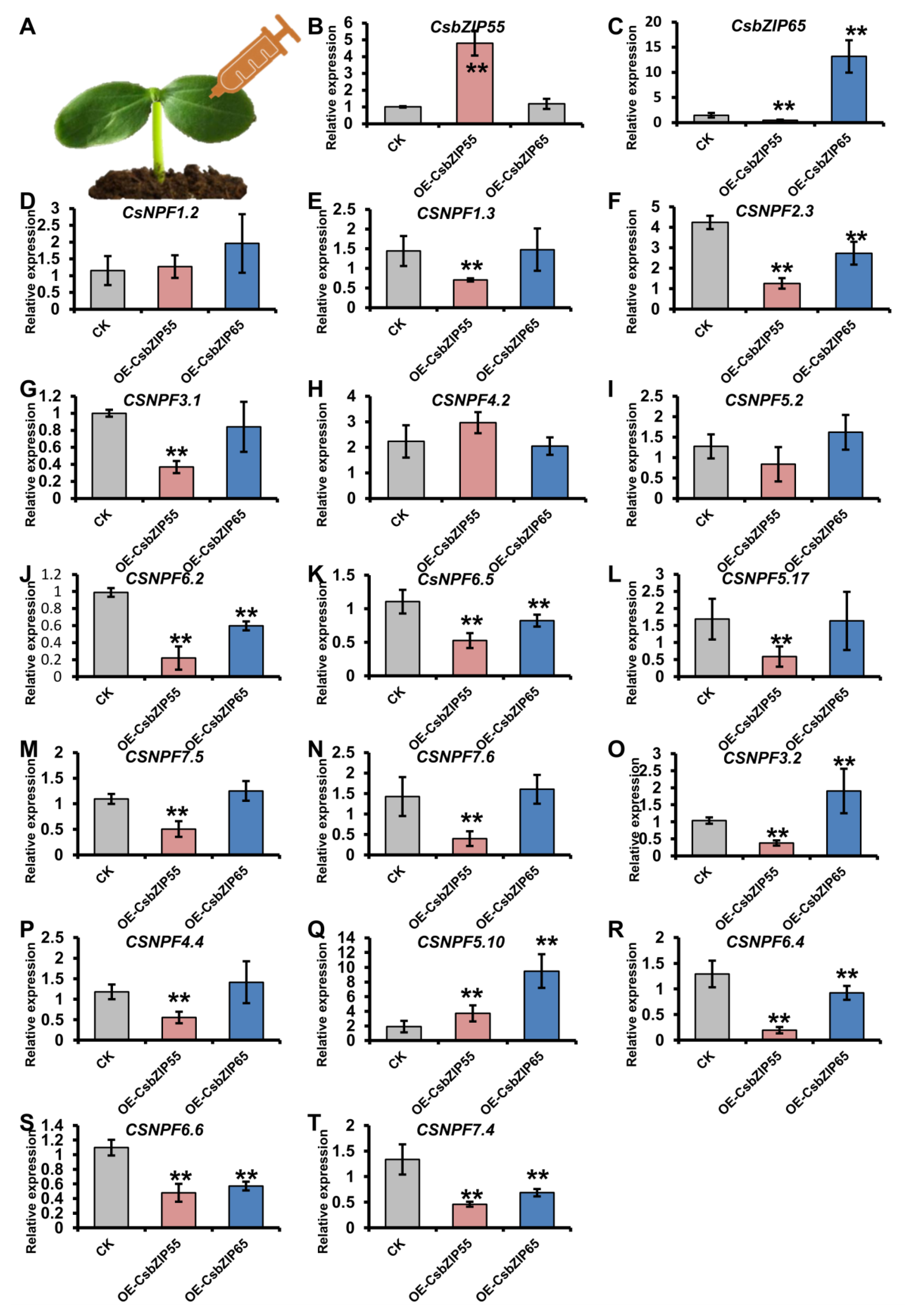 Plants 12 03228 g009