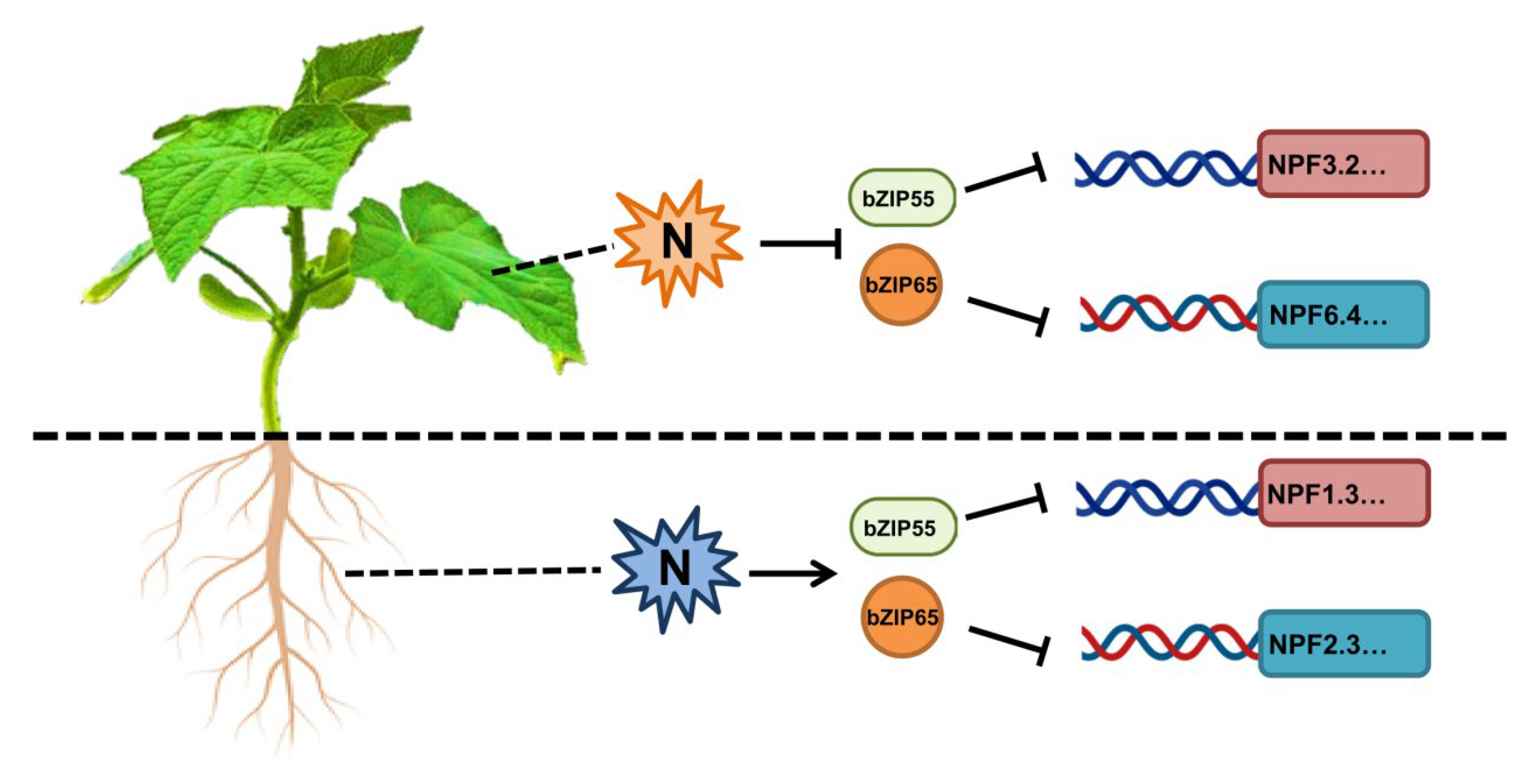 Plants 12 03228 g010