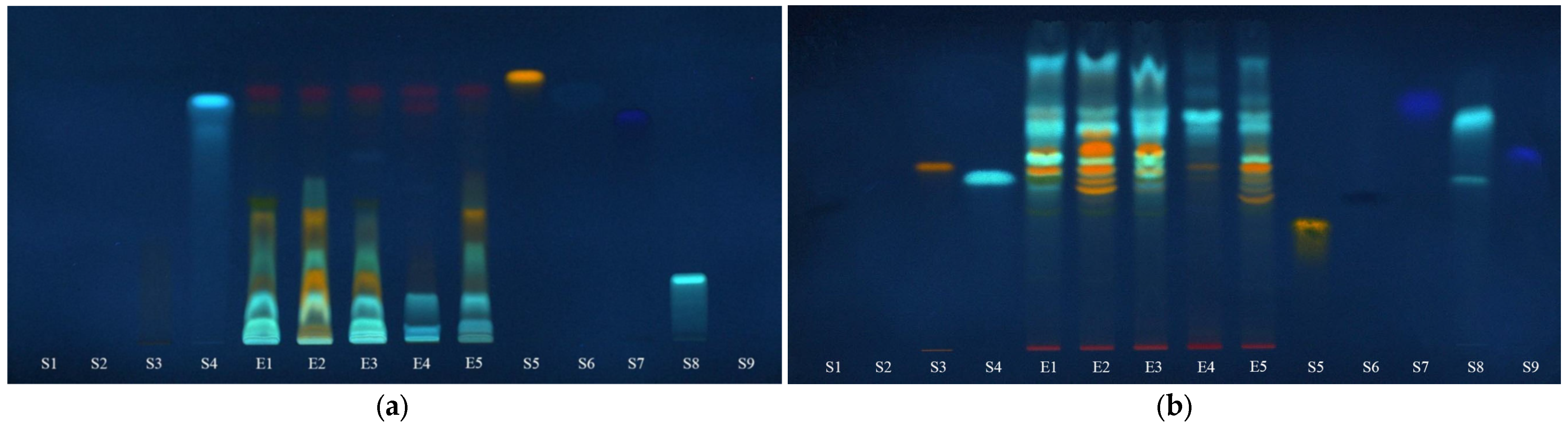 Plants 12 03233 g006