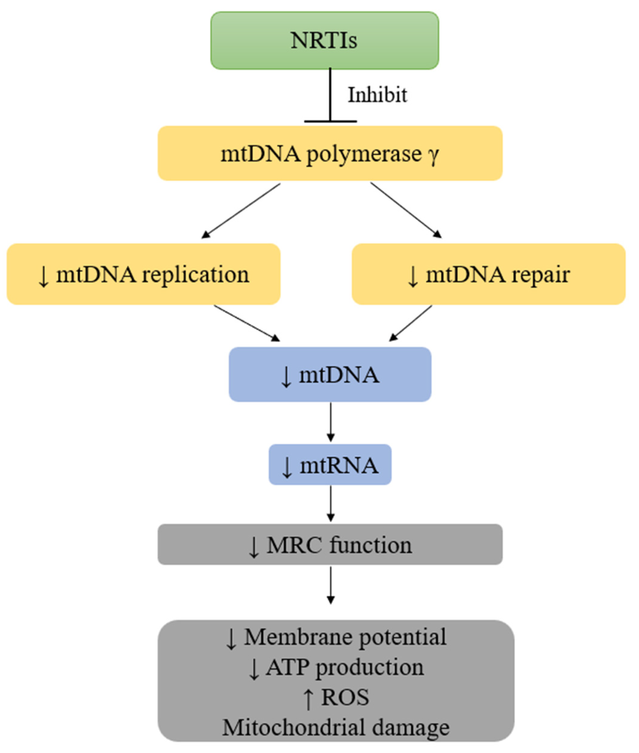 Plants 12 03235 g004 Plants 12 03235 g004