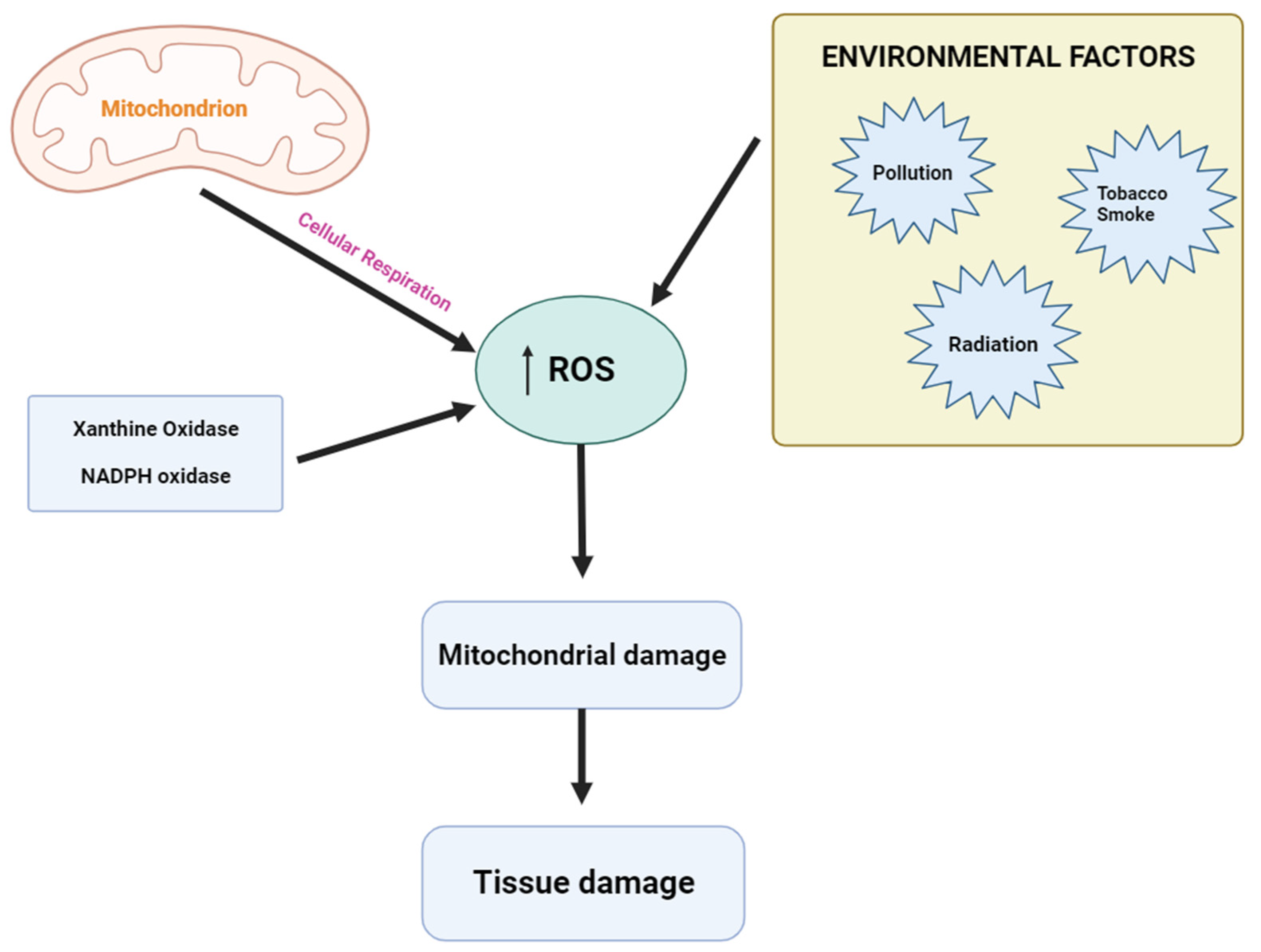 Plants 12 03235 g005 Plants 12 03235 g005