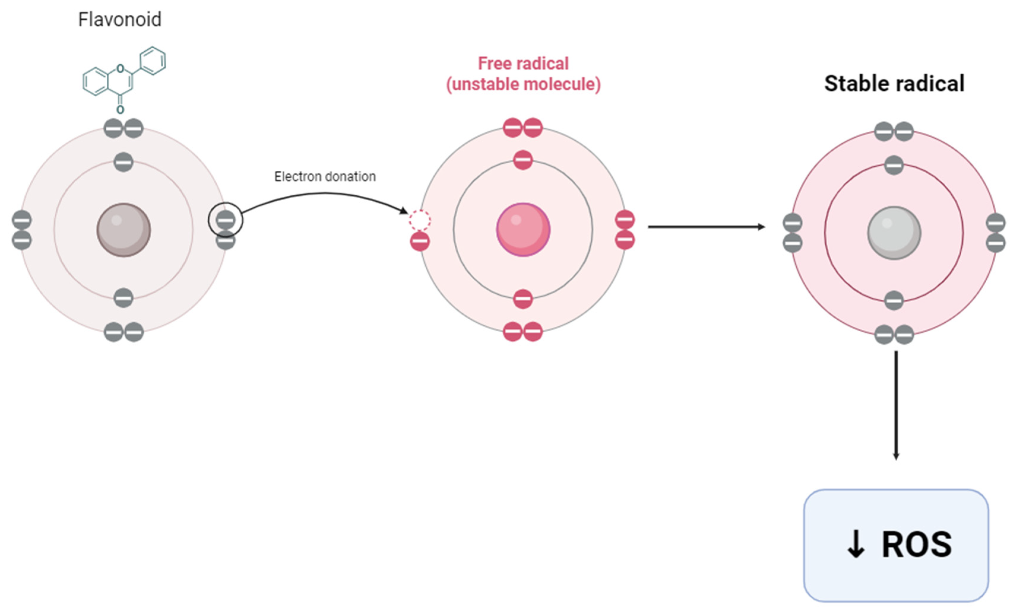 Plants 12 03235 g013 Plants 12 03235 g013