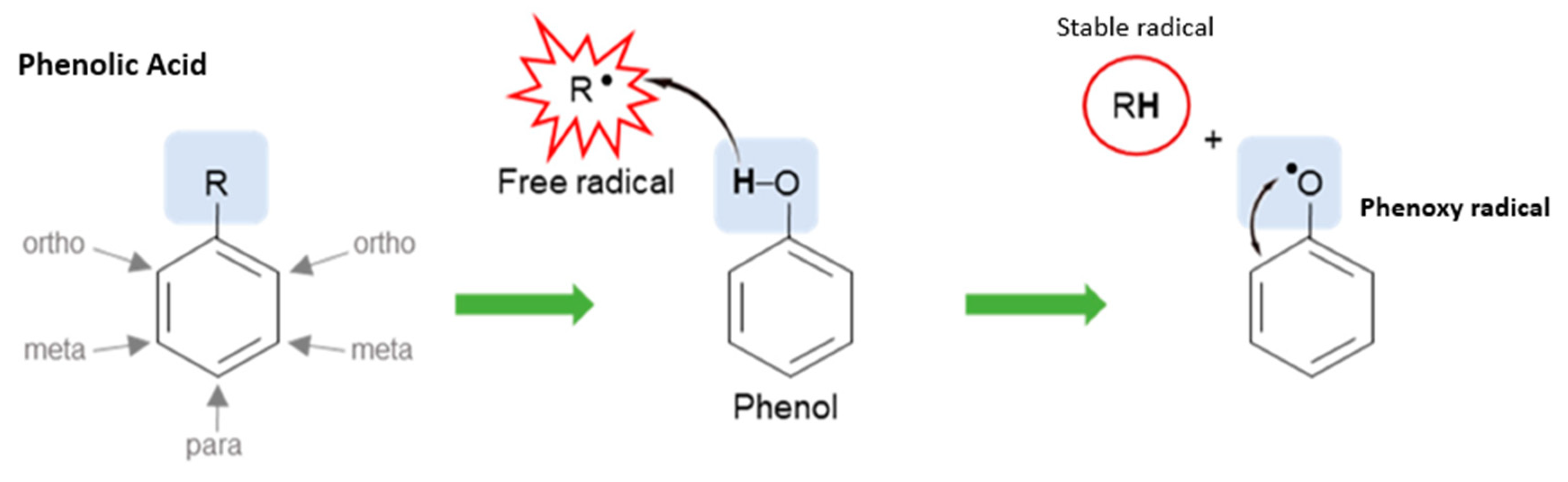 Plants 12 03235 g015 Plants 12 03235 g015